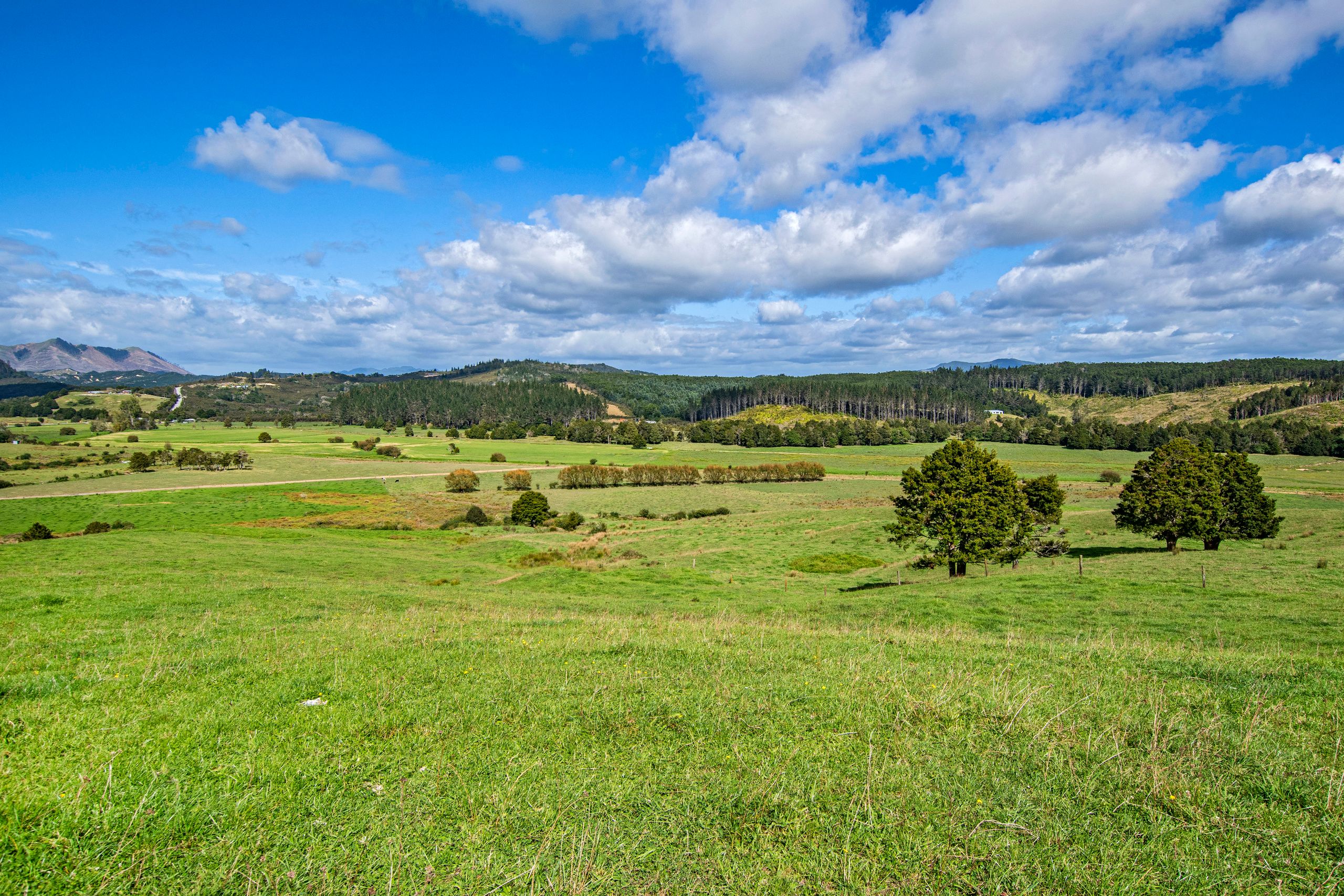 28 & 60 Horahora Road, Maromaku, Far North District 0281 Rural Dairy