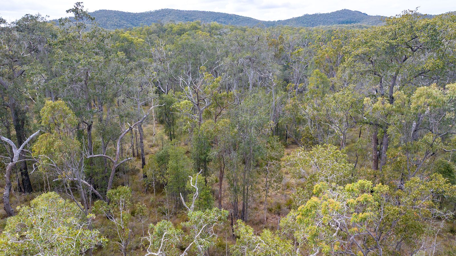 Lot 21 Baldaw Road — photo 10 of 13