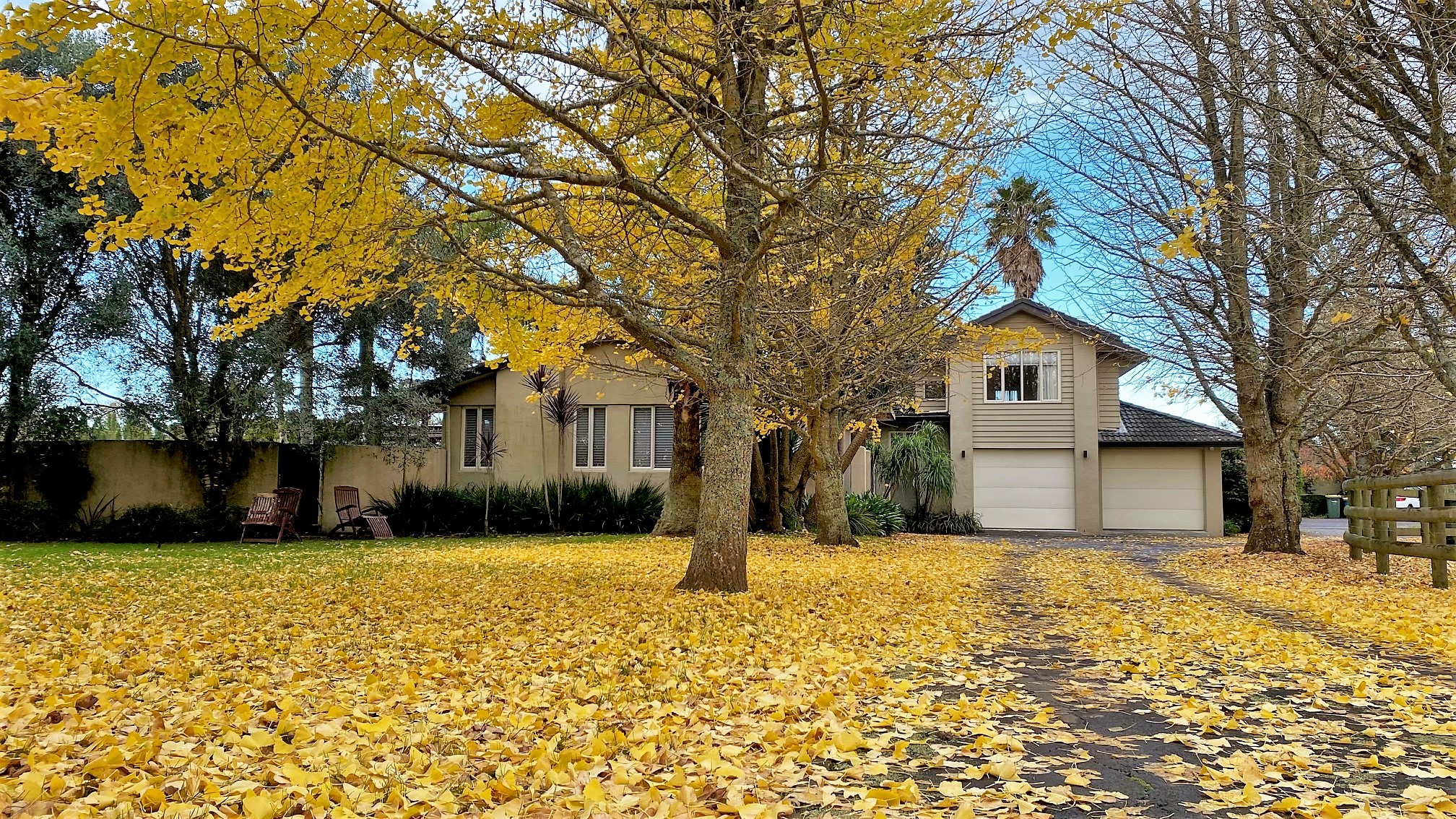 9 Bristol Road, Whenuapai, Waitakere City