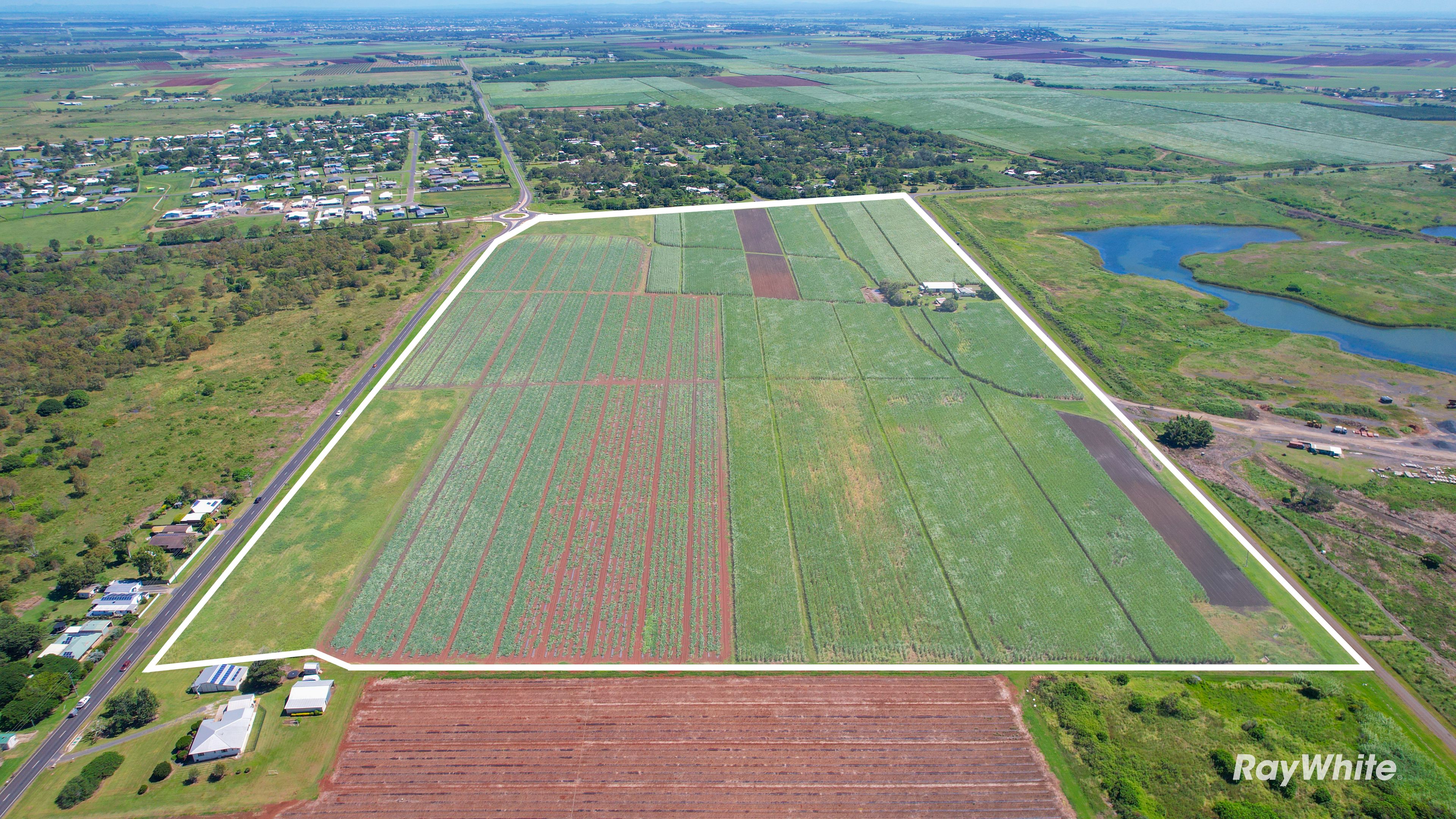 38 Cockerills Road, Innes Park, QLD 4670 Acreage/SemiRural for Sale