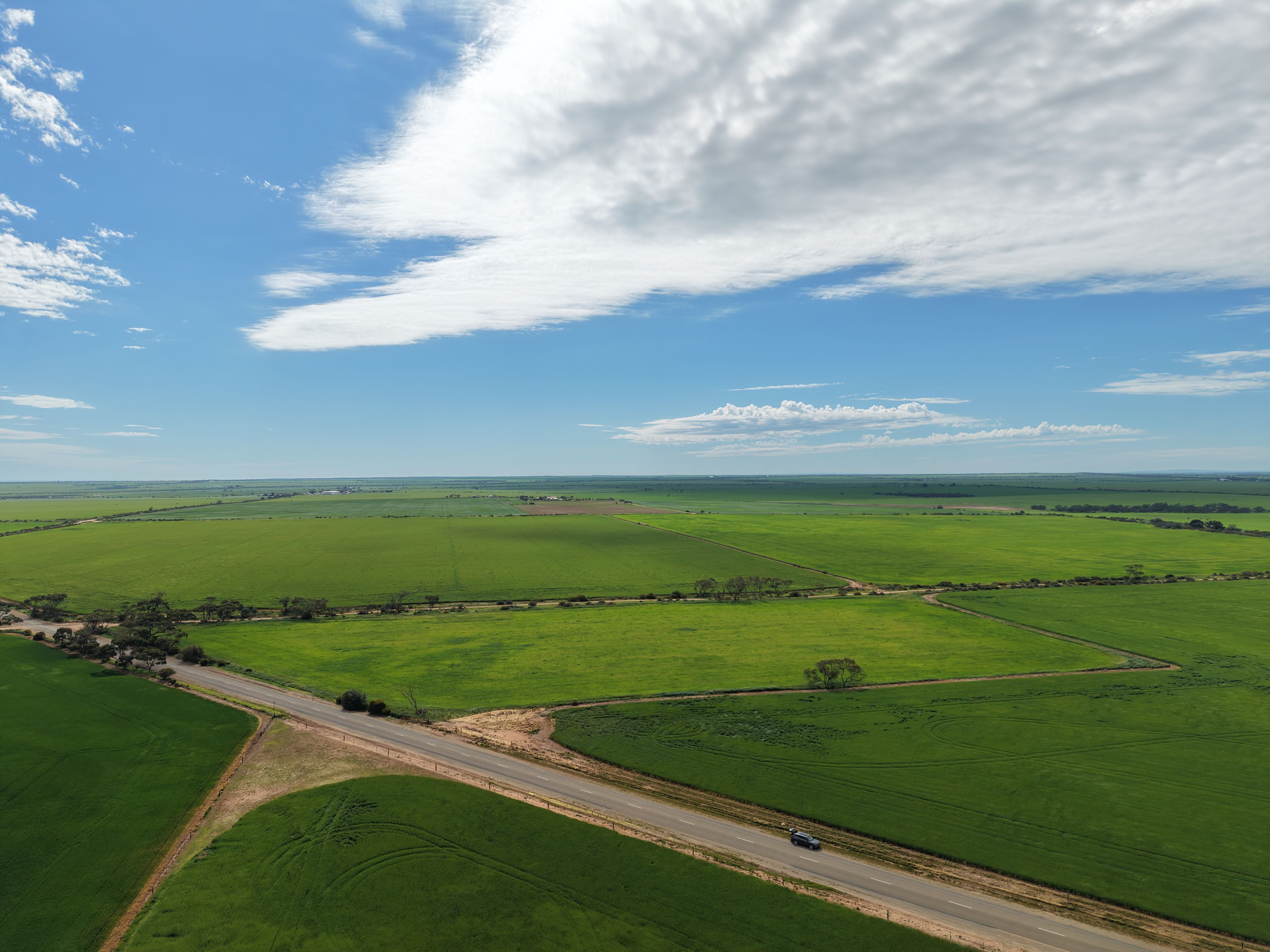 60 Hectares of Rural Cropping Land — photo 7 of 7