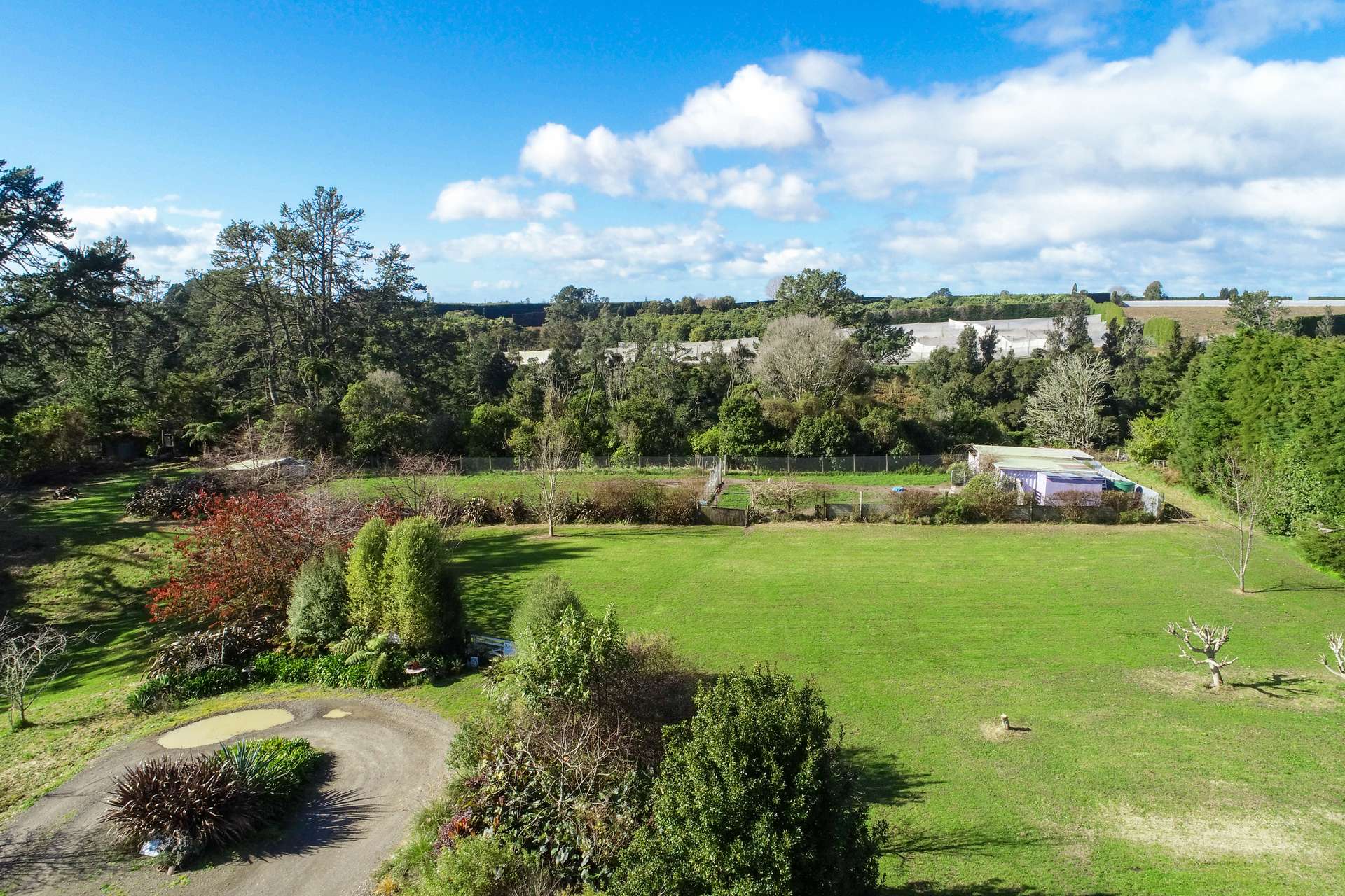 577B No 3 Road, Te Puke, Western Bay Of Plenty District Real Estate