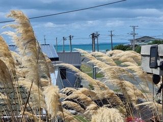17 William Street, Riverton, Southland District
