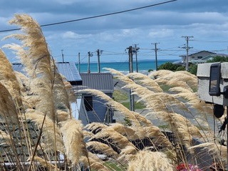 17 William Street, Riverton, Southland District