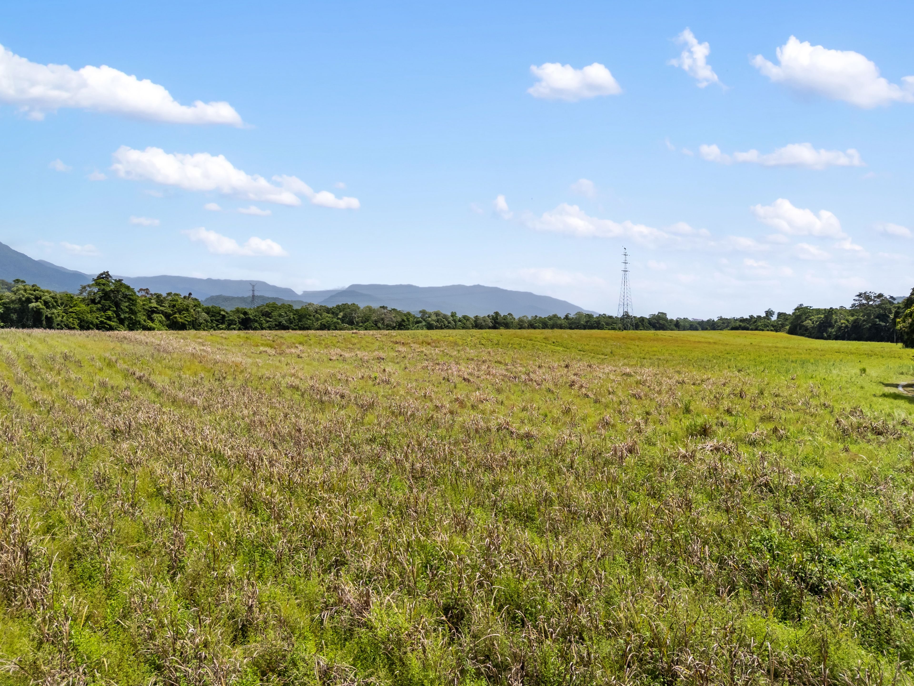 CASSOWARY ESTATE - Affordable lifestyle acreage lots — photo 12 of 23