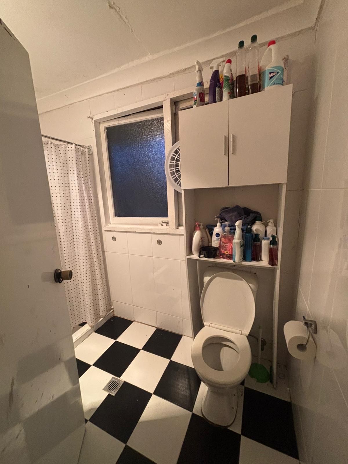 12 Langley Place, Blackett, NSW 2770