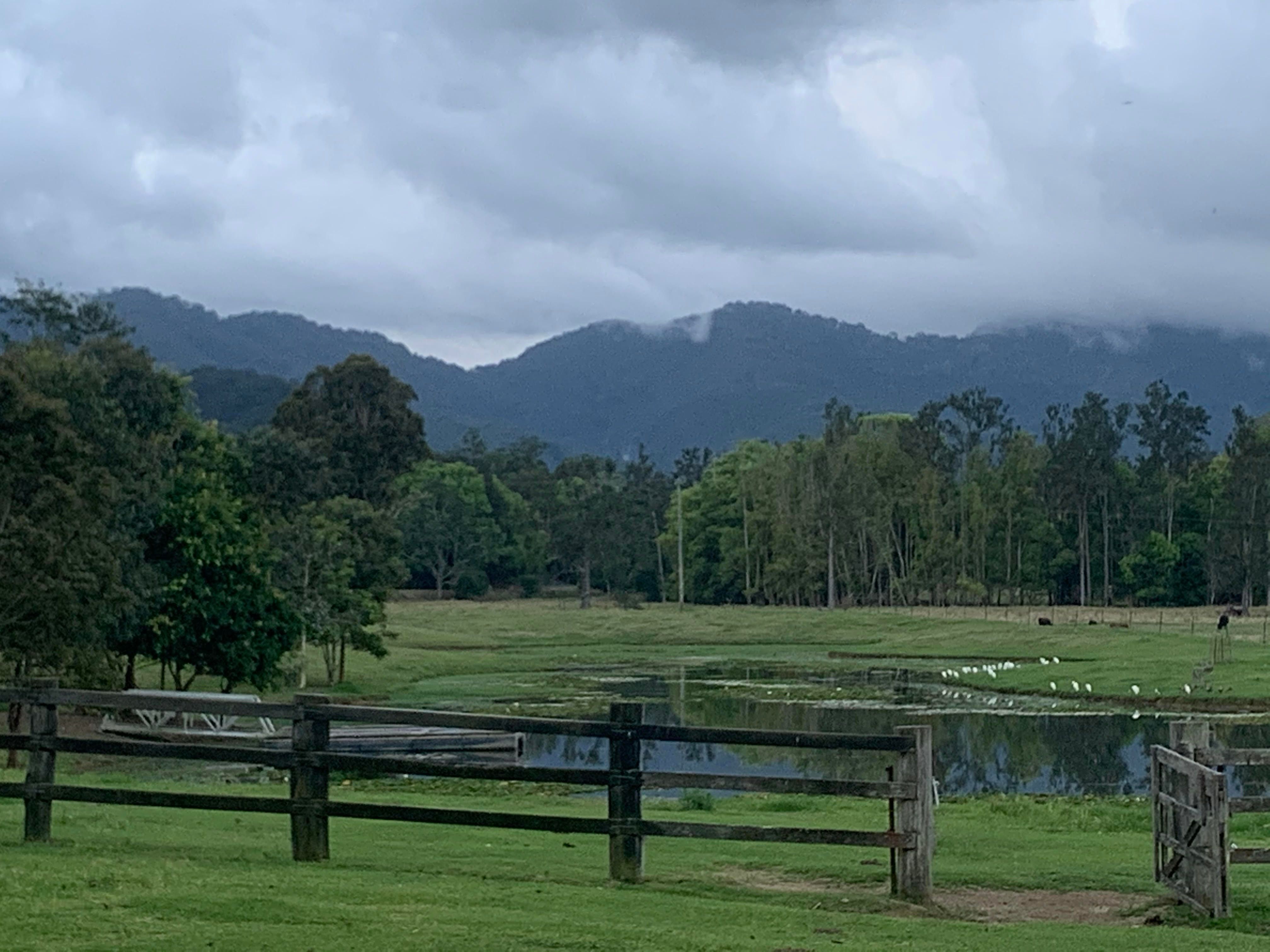 160 Upper Crystal Creek Road, Upper Crystal Creek, NSW 2484