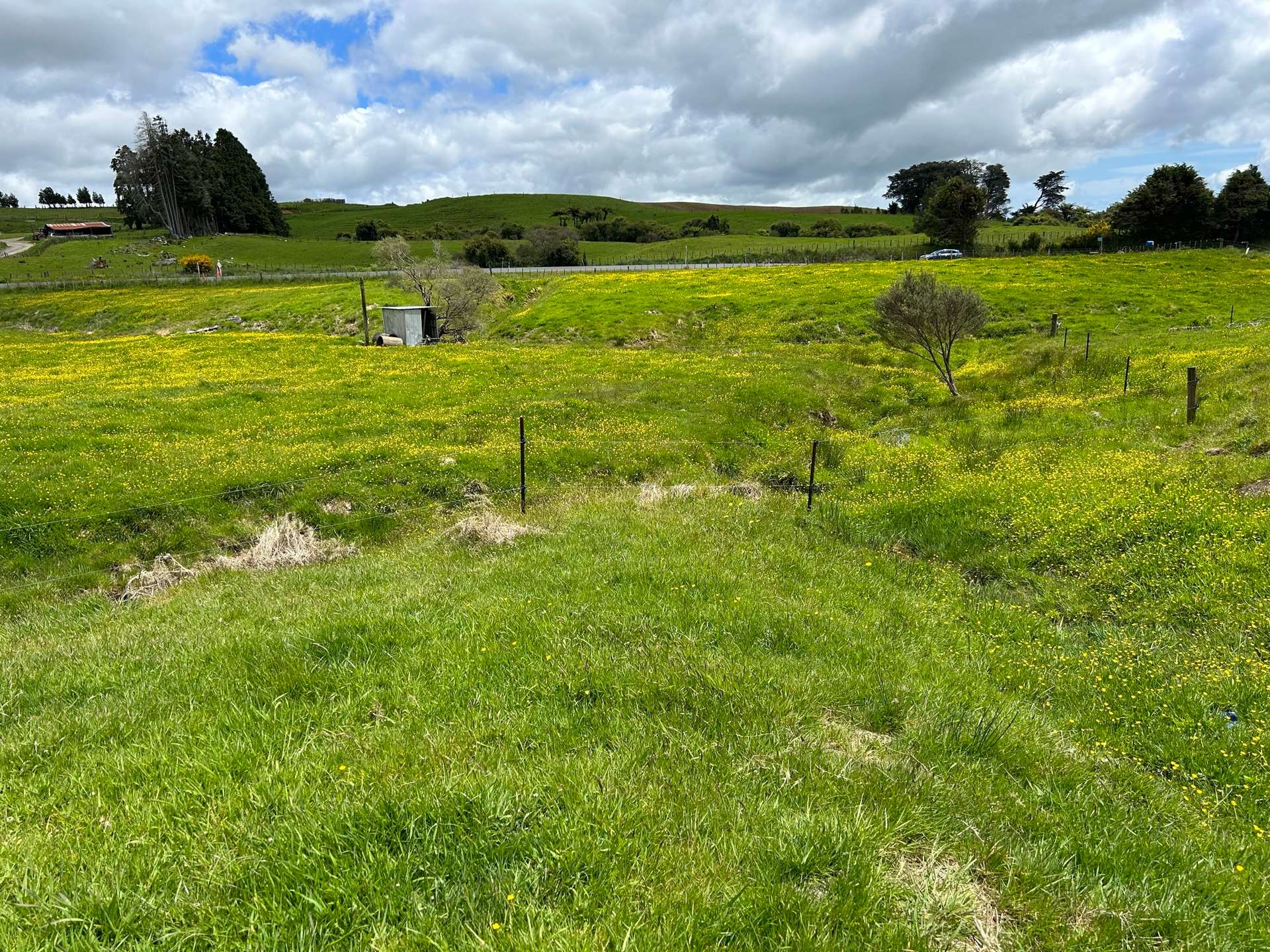 2868 SH 31, Kawhia Road photo 17