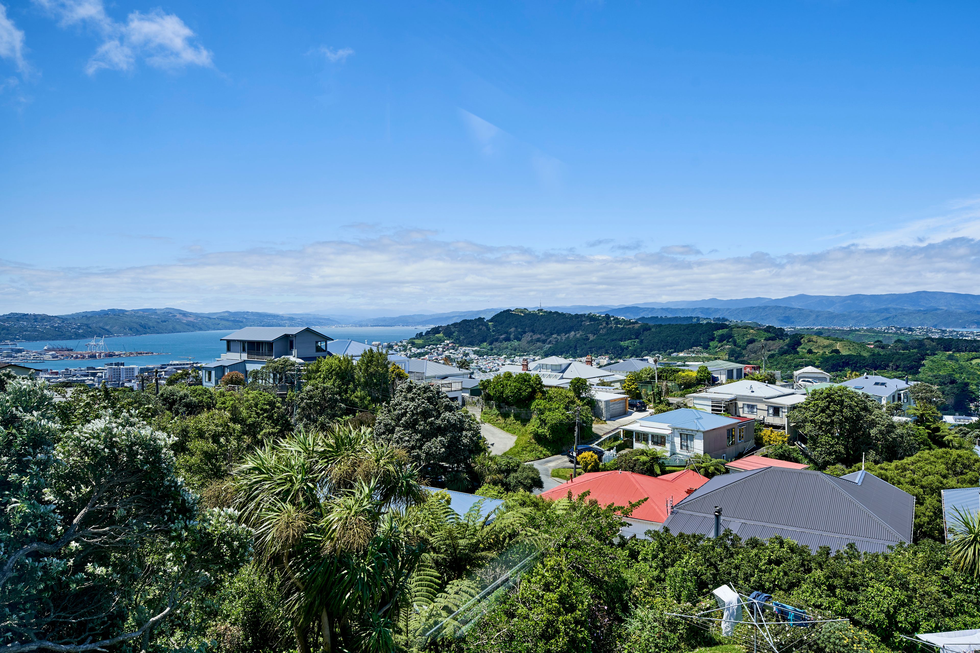 Apt 4/83 Washington Avenue, Brooklyn, Wellington City