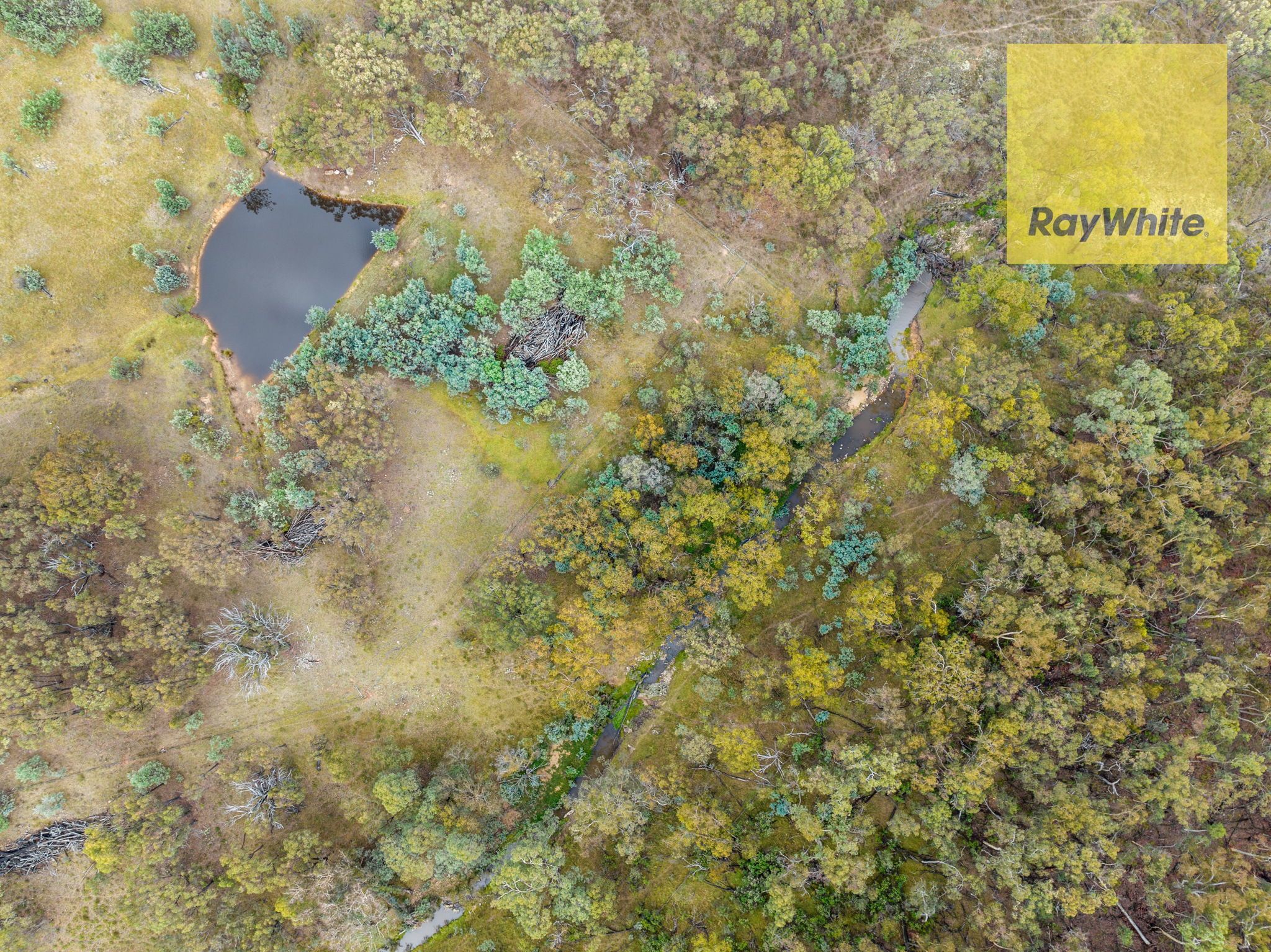 1013 Bigga Road, Crooked Corner, NSW 2583