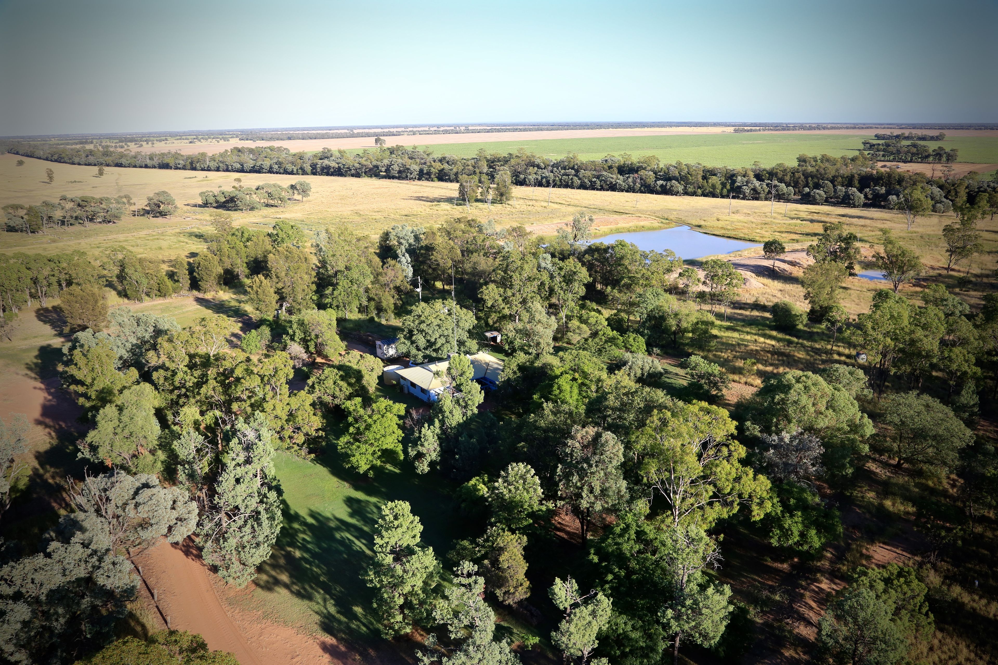 Condamine, Condamine, QLD 4416