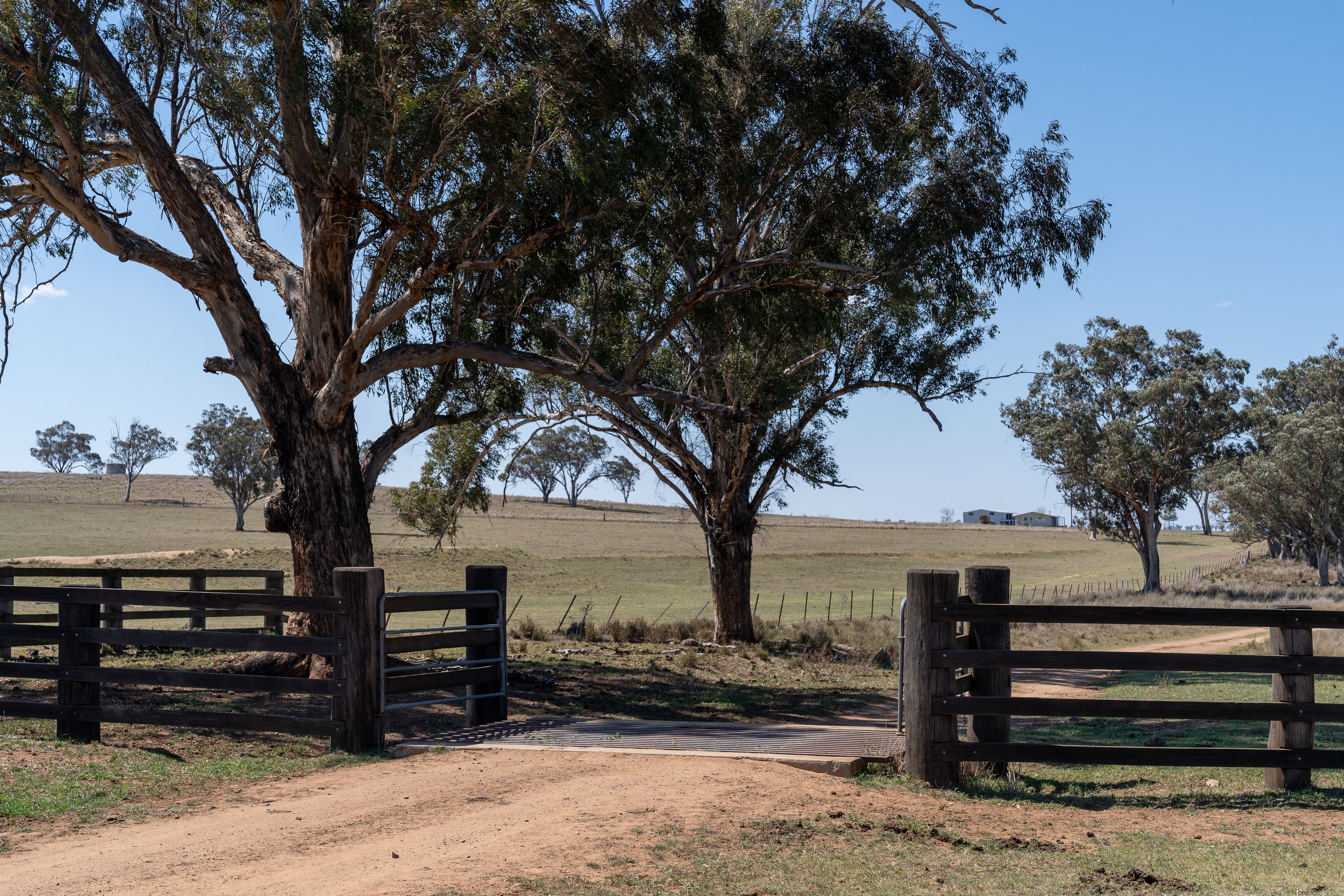 "Summer Hill & Rosedale" 1560 Summerhill Road, Cassilis, NSW 2329 Sold Rural Mixed Farming