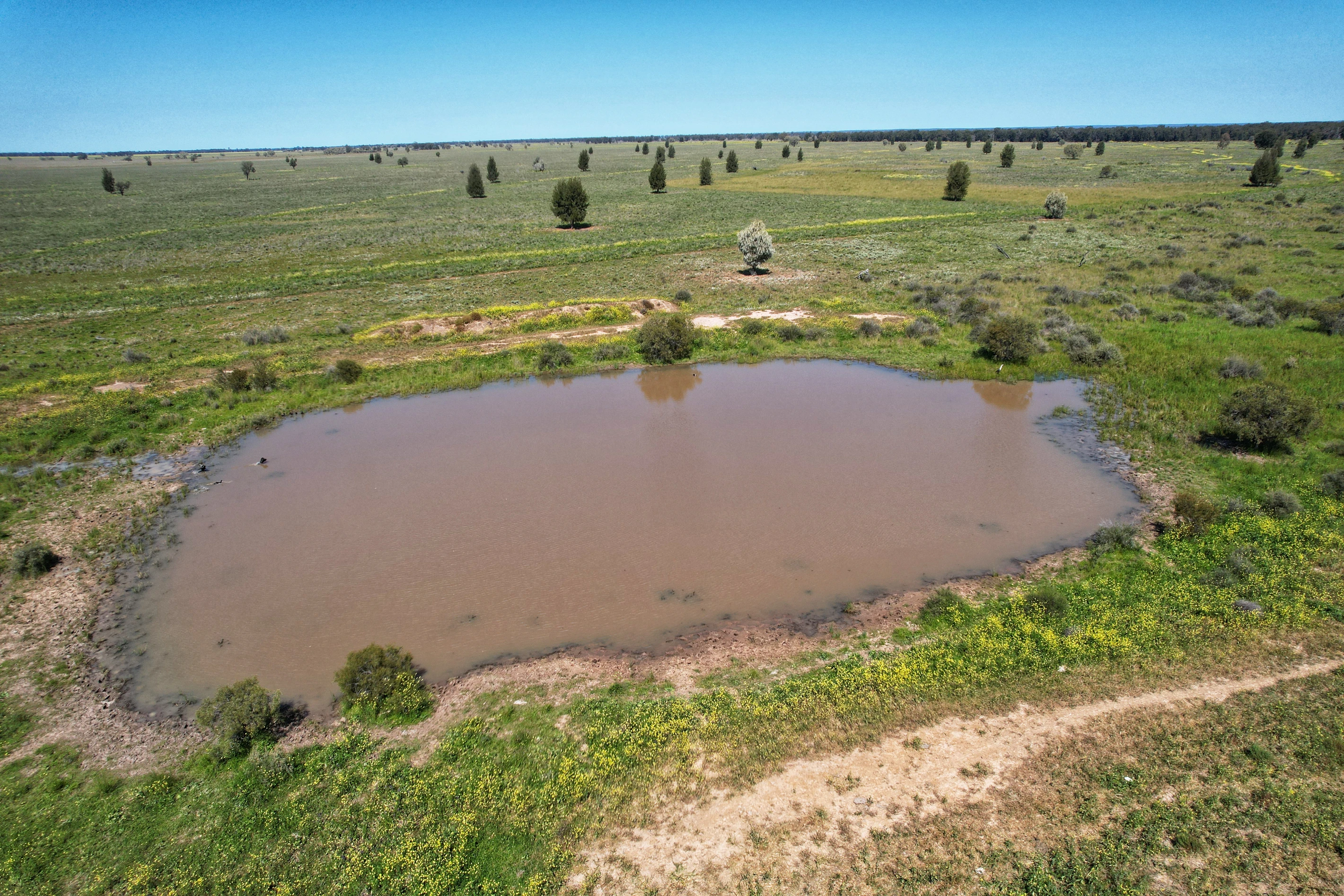 5778 Dandaloo Road, Dandaloo, NSW 2823