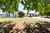40 Matheson Way photo 0