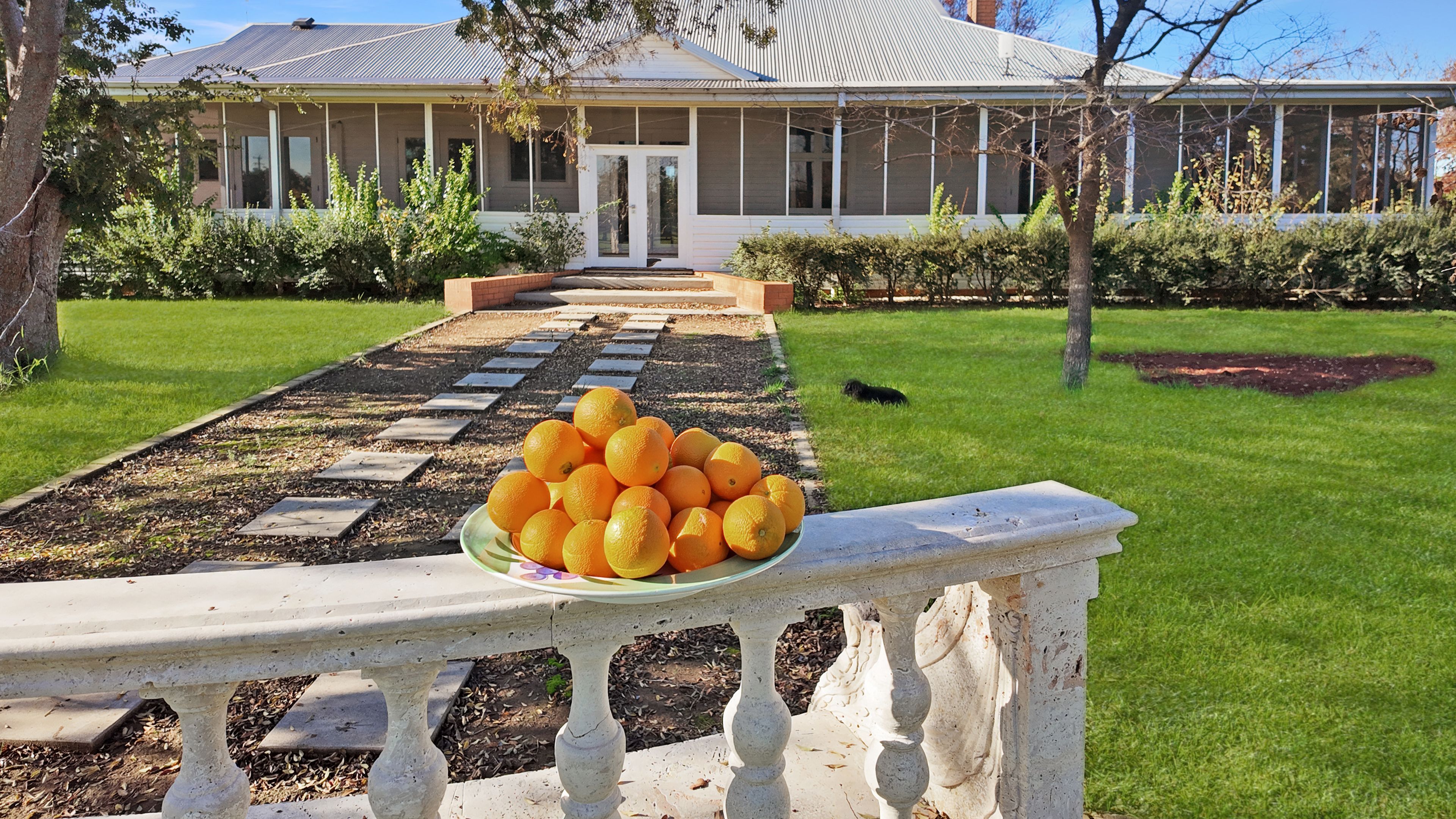 Farm 253/29 Ross Road — photo 3 of 29