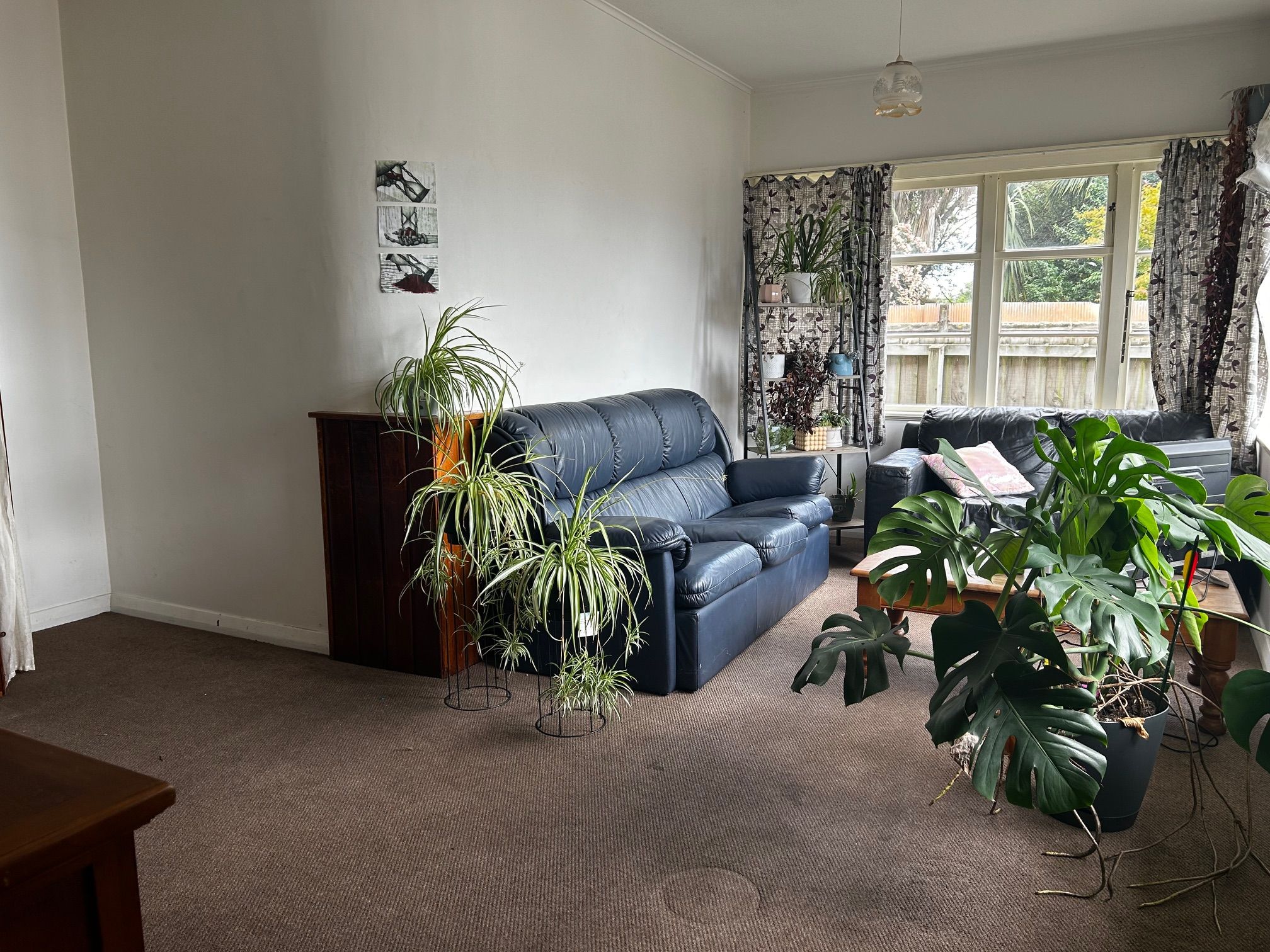 8 Kawaka Street, Riccarton, Christchurch City