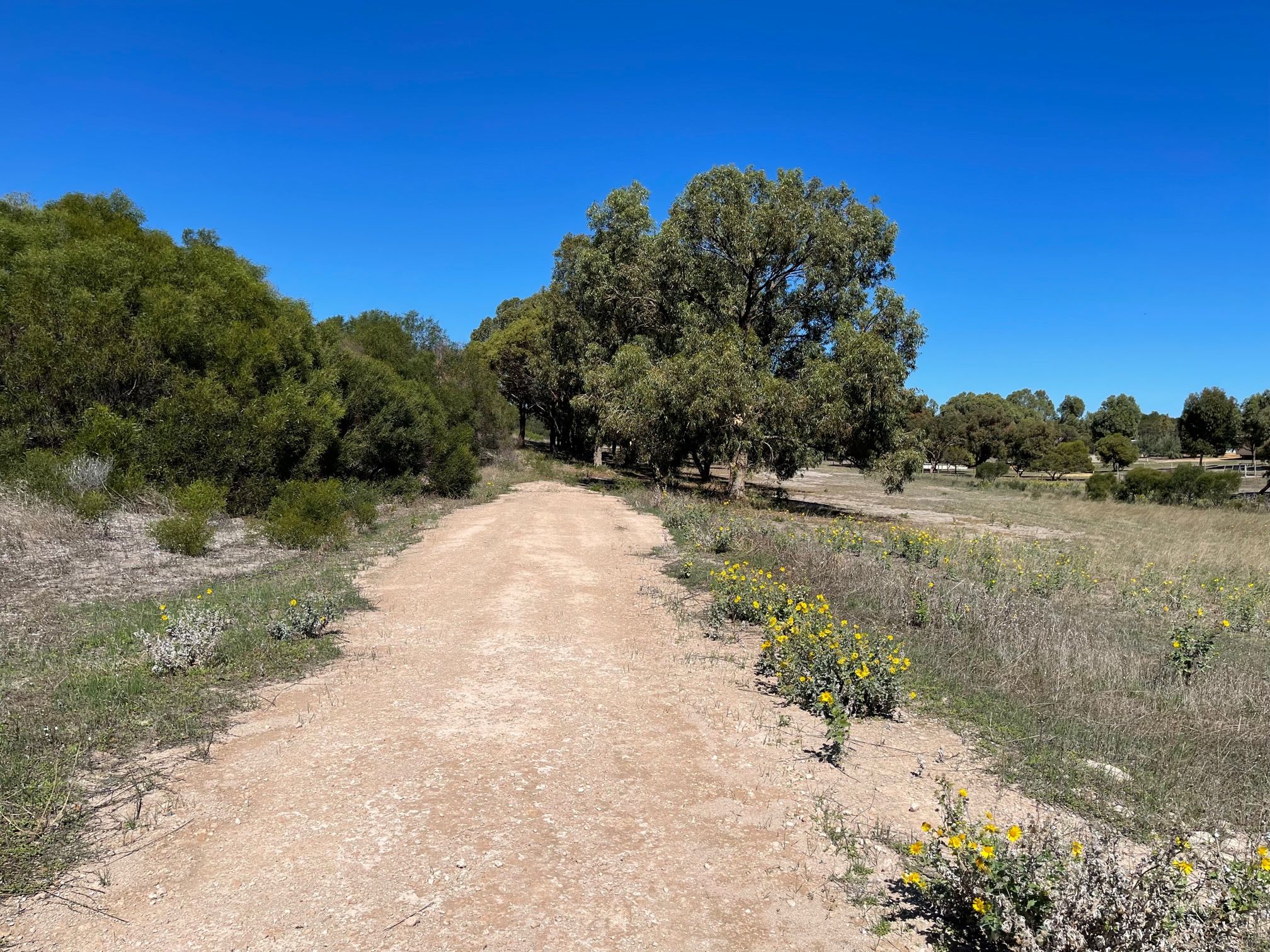 Lot 1 Acacia Road, Springfield, WA 6525