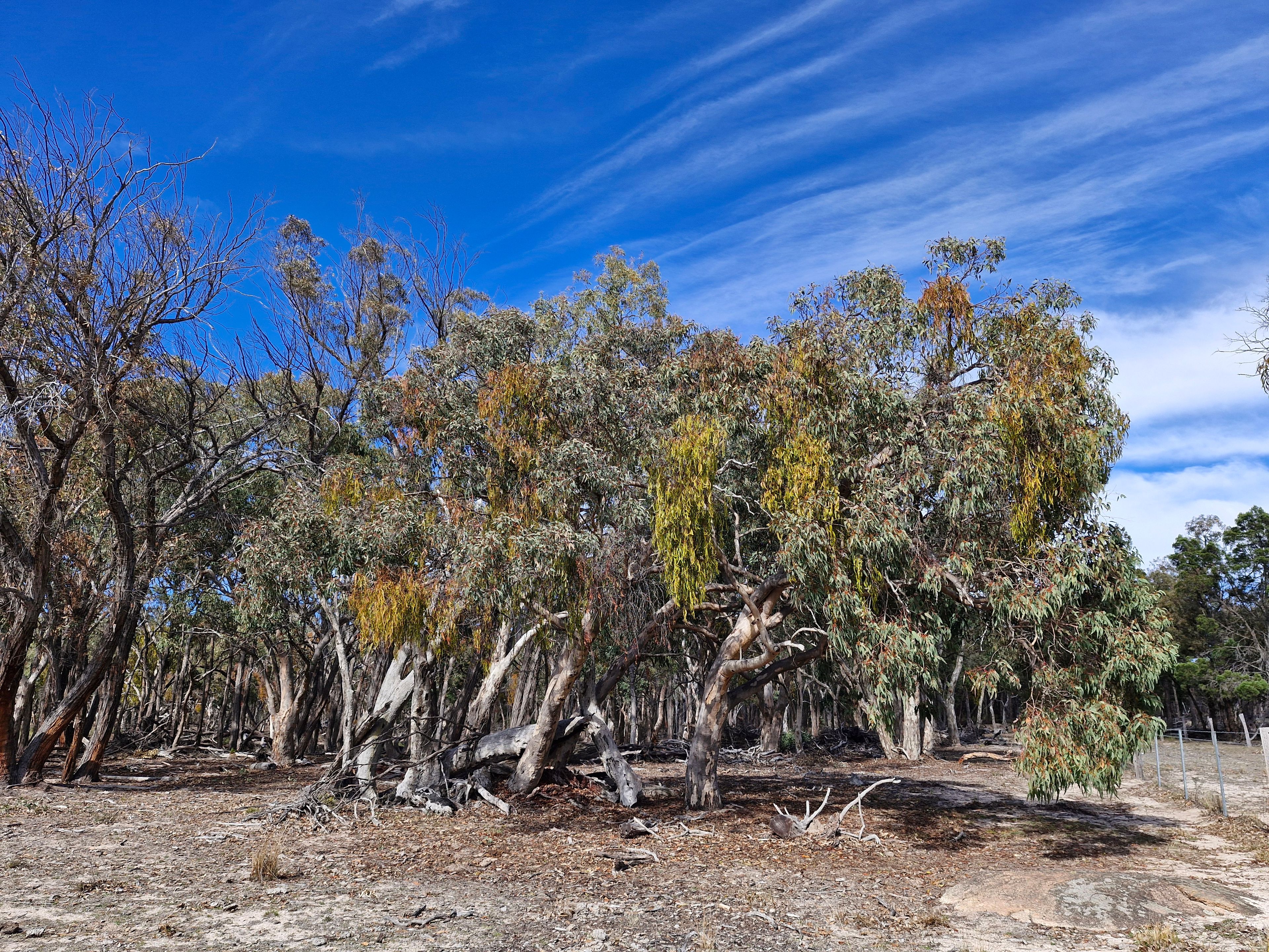 Lot 42 Ravensmoor Road — photo 13 of 13