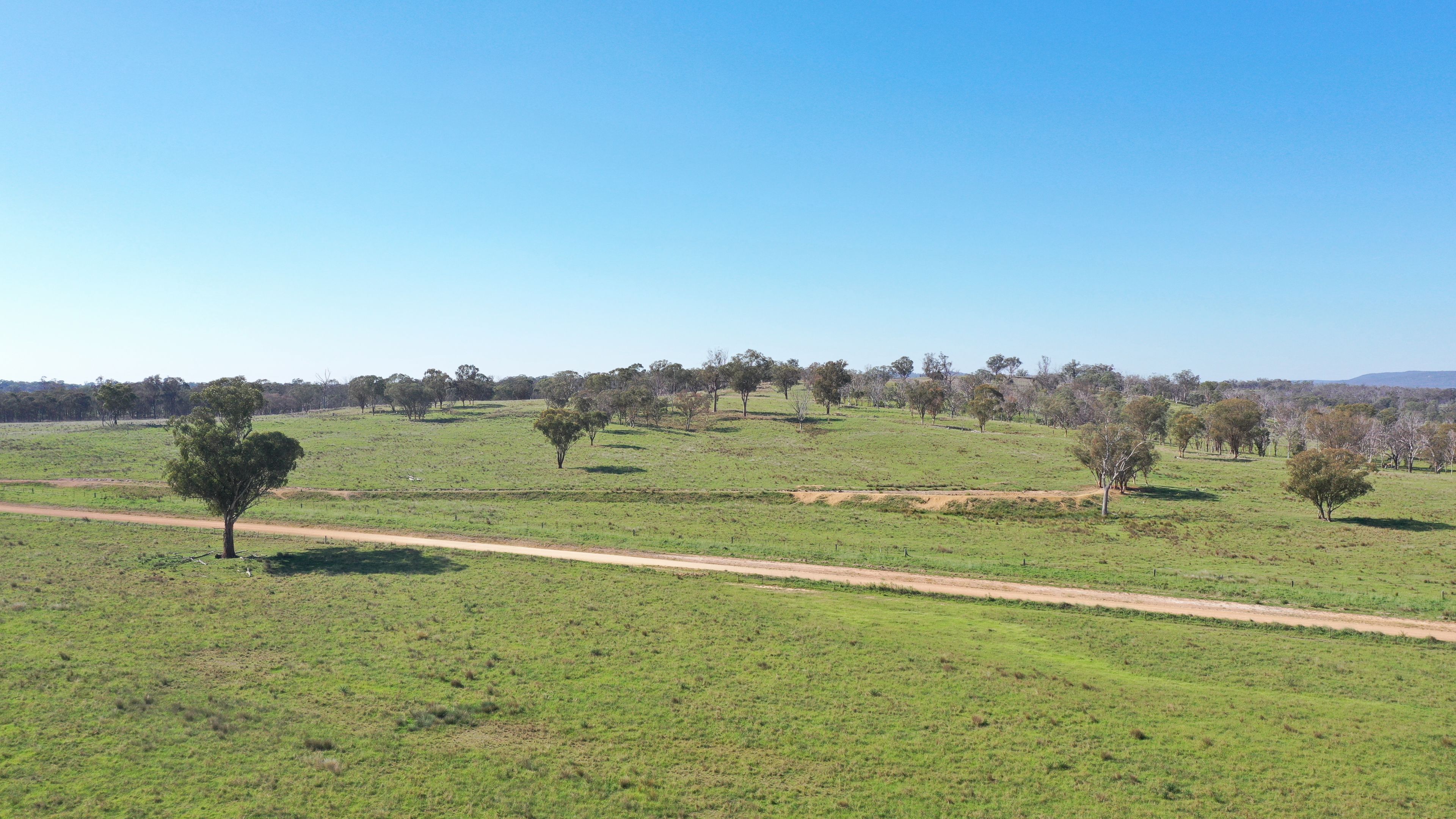 216 Mt Drummond Road, Bundarra, NSW 2359 Sold Rural Property Ray