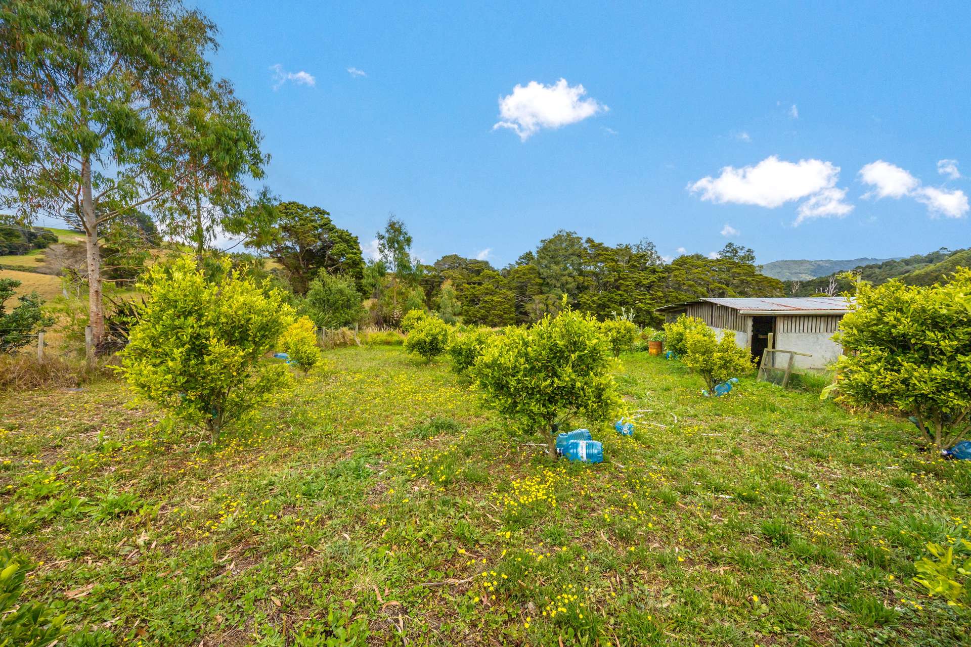 648 West Coast Road photo 16