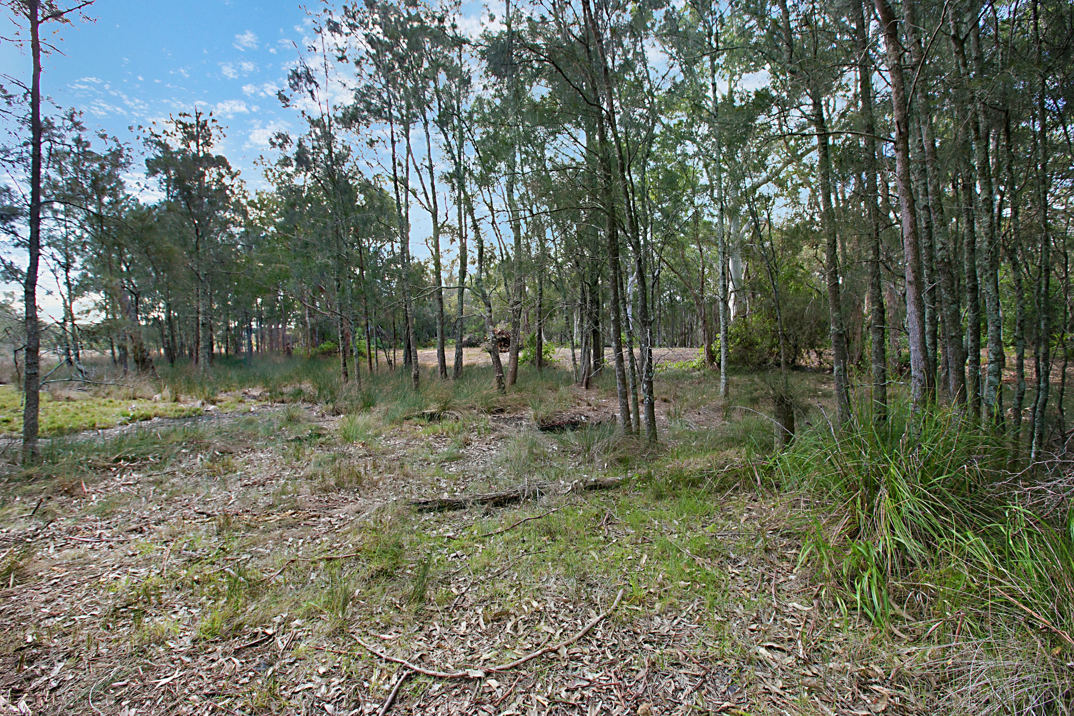 Lot 1 Nardoo Street, Pindimar, NSW 2324 Land for Sale Ray White Tea