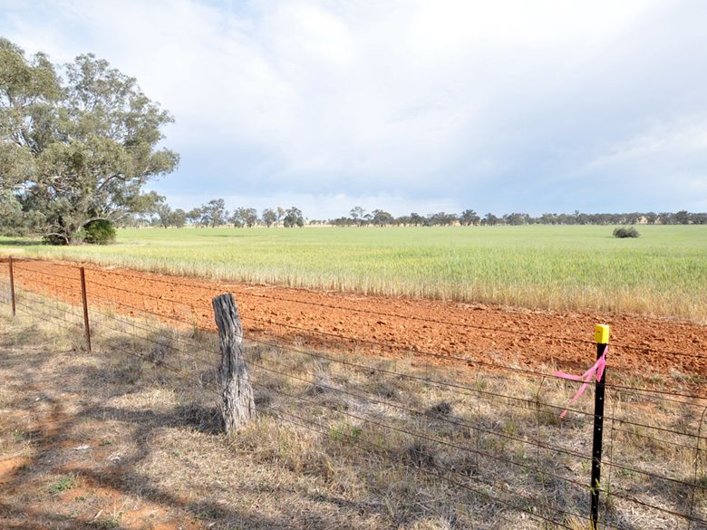 Lot 196 Broad Street, Old Junee, NSW 2652