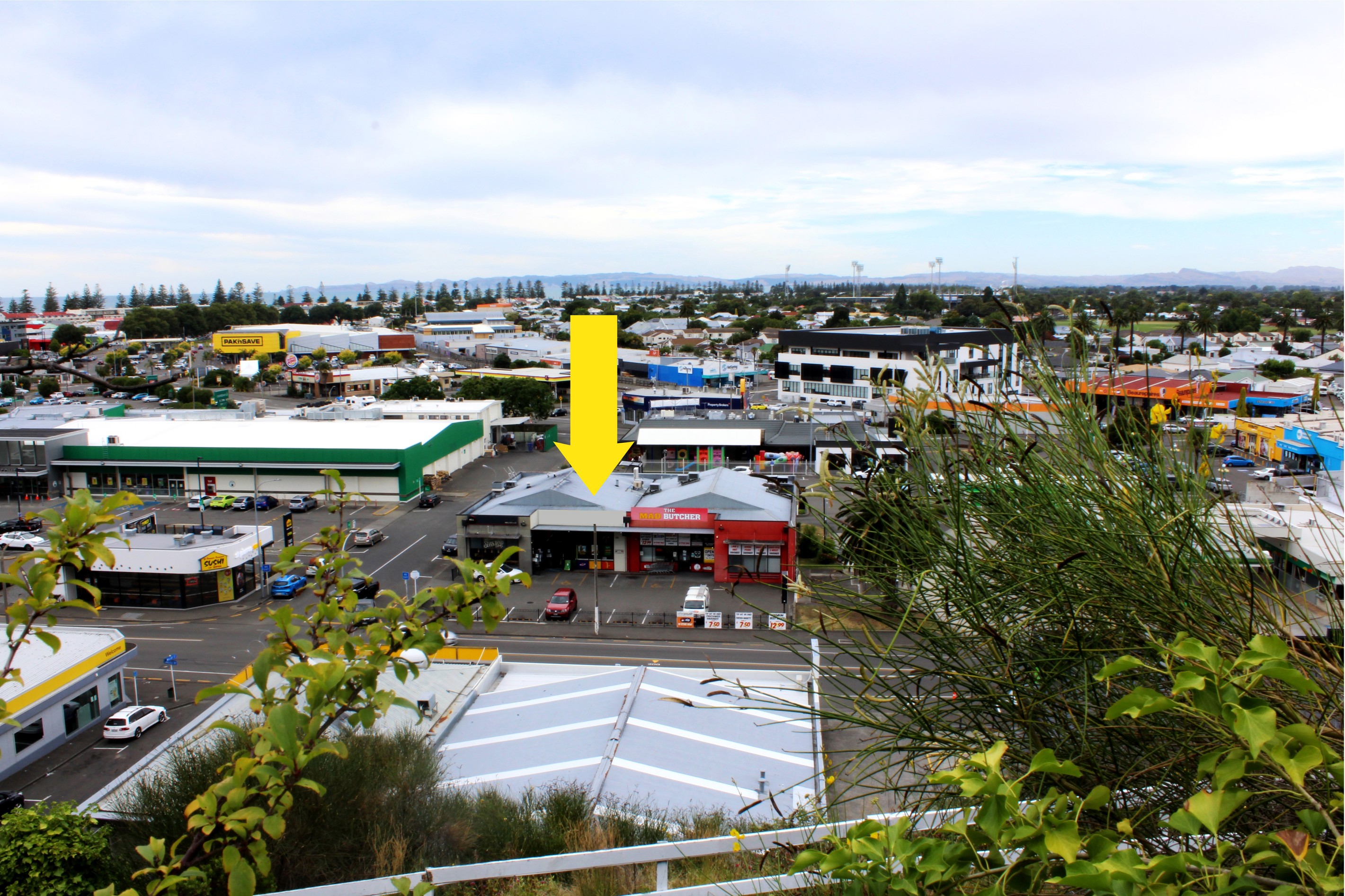 44 Carlyle Street, Napier, Napier City