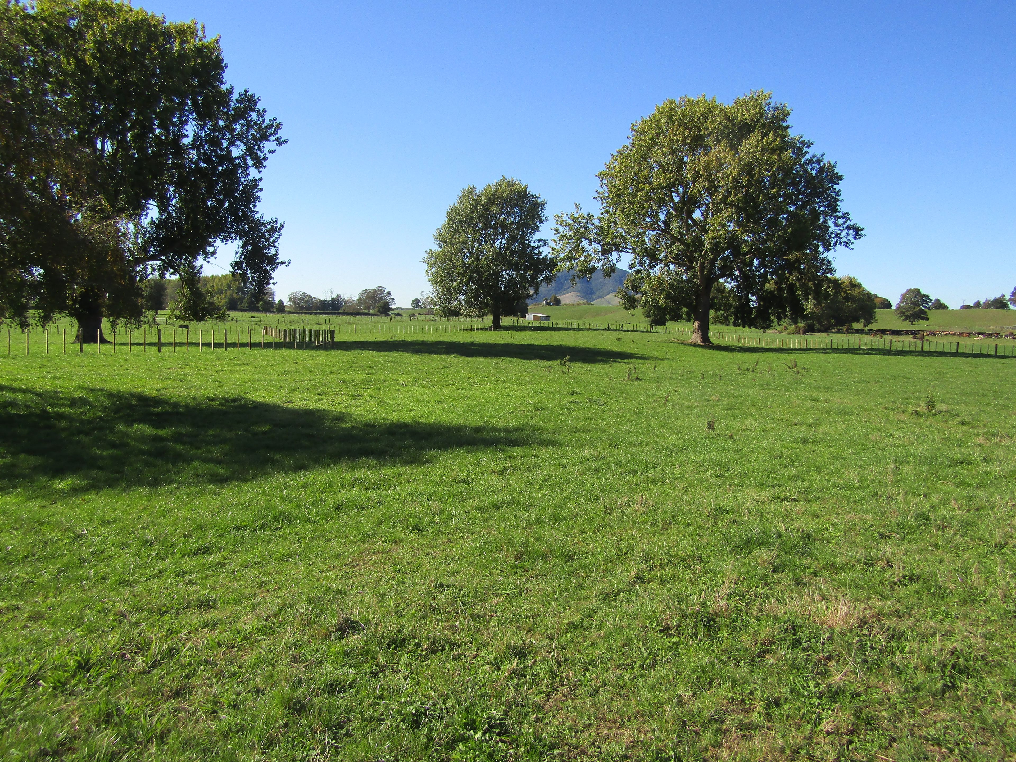 0 Te Kawa Road, Lot 2, Te Awamutu, Waipa District