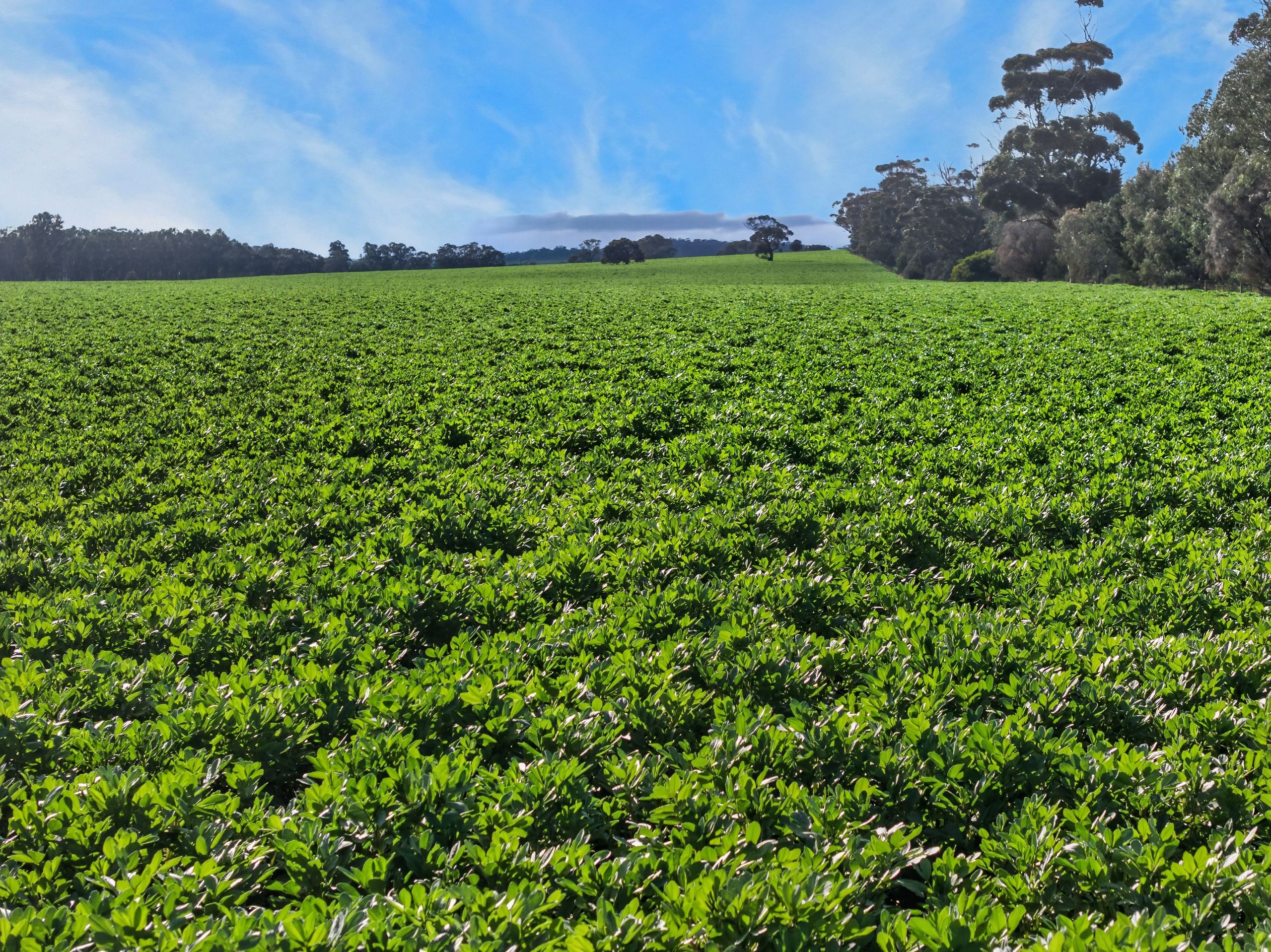 'Moores' Moores Road — photo from Ray White Rural South Australia