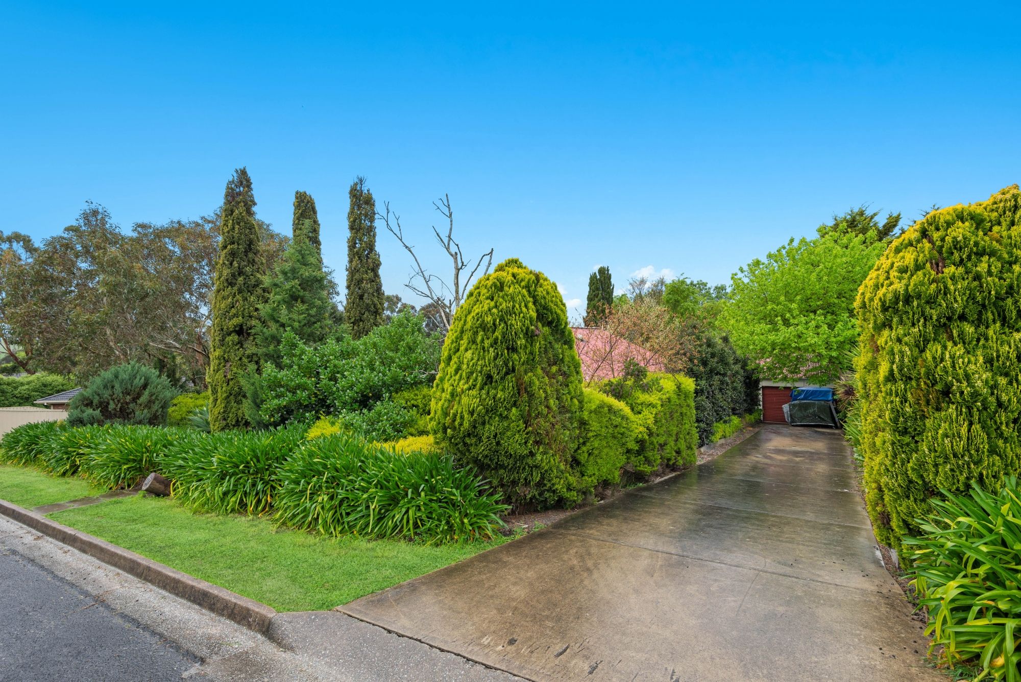37 Jeffrey Street, Nairne, SA 5252