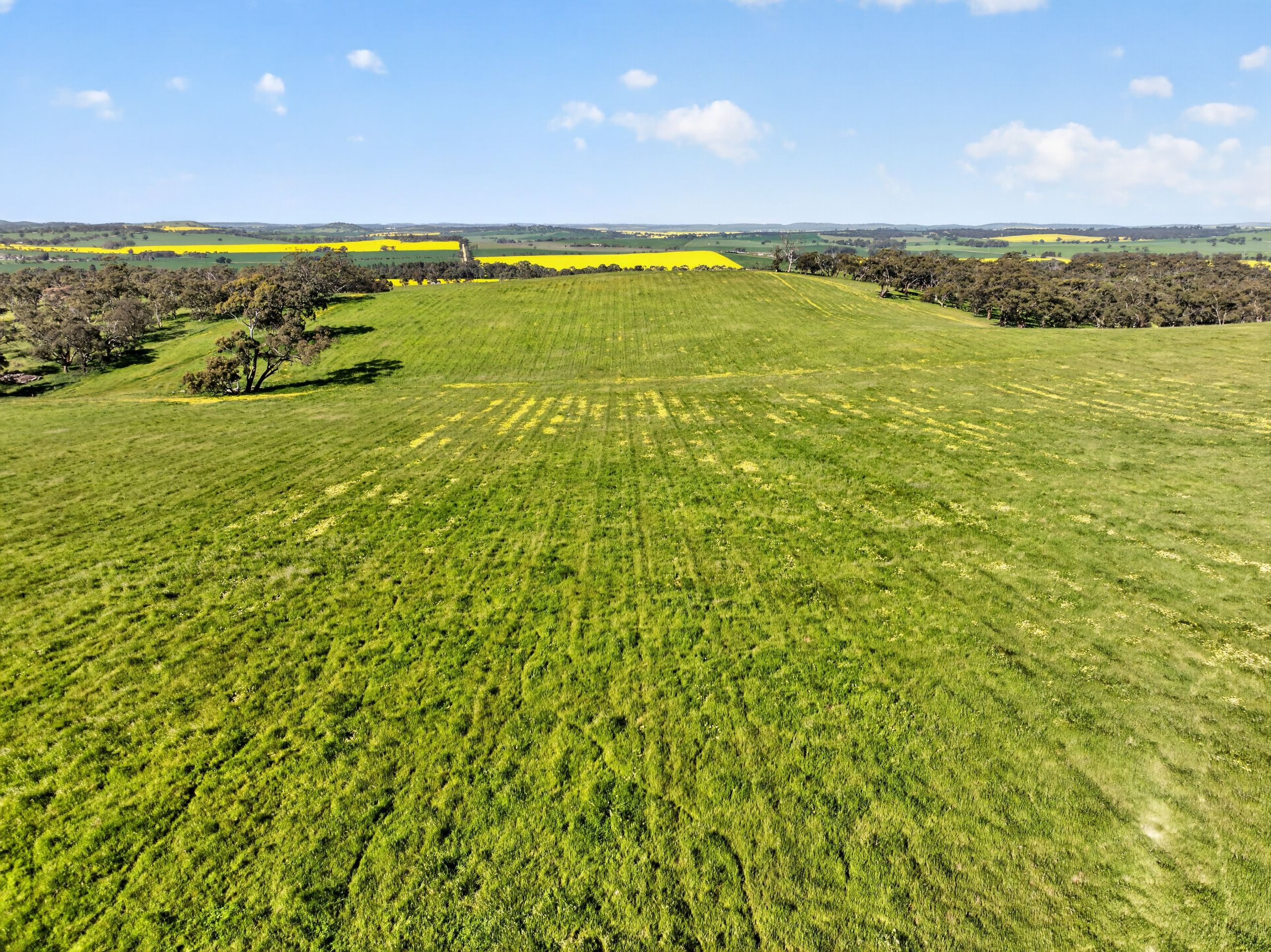 'Woolshed' Kelly Road — photo from Ray White Rural South Australia