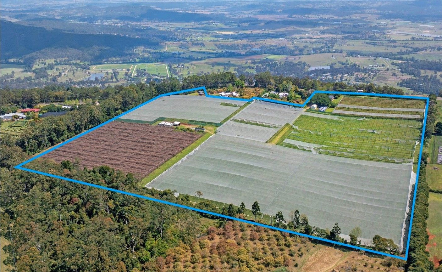 300-320 Main Western Road — photo from Ray White Rural Tamborine Mountain