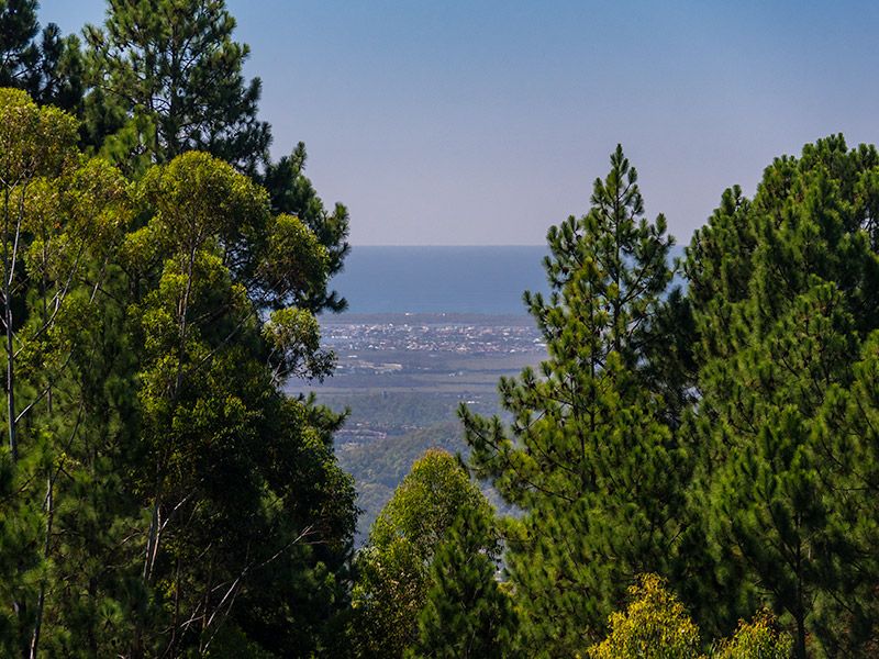 65 Guanaba Road, Tamborine Mountain, QLD 4272