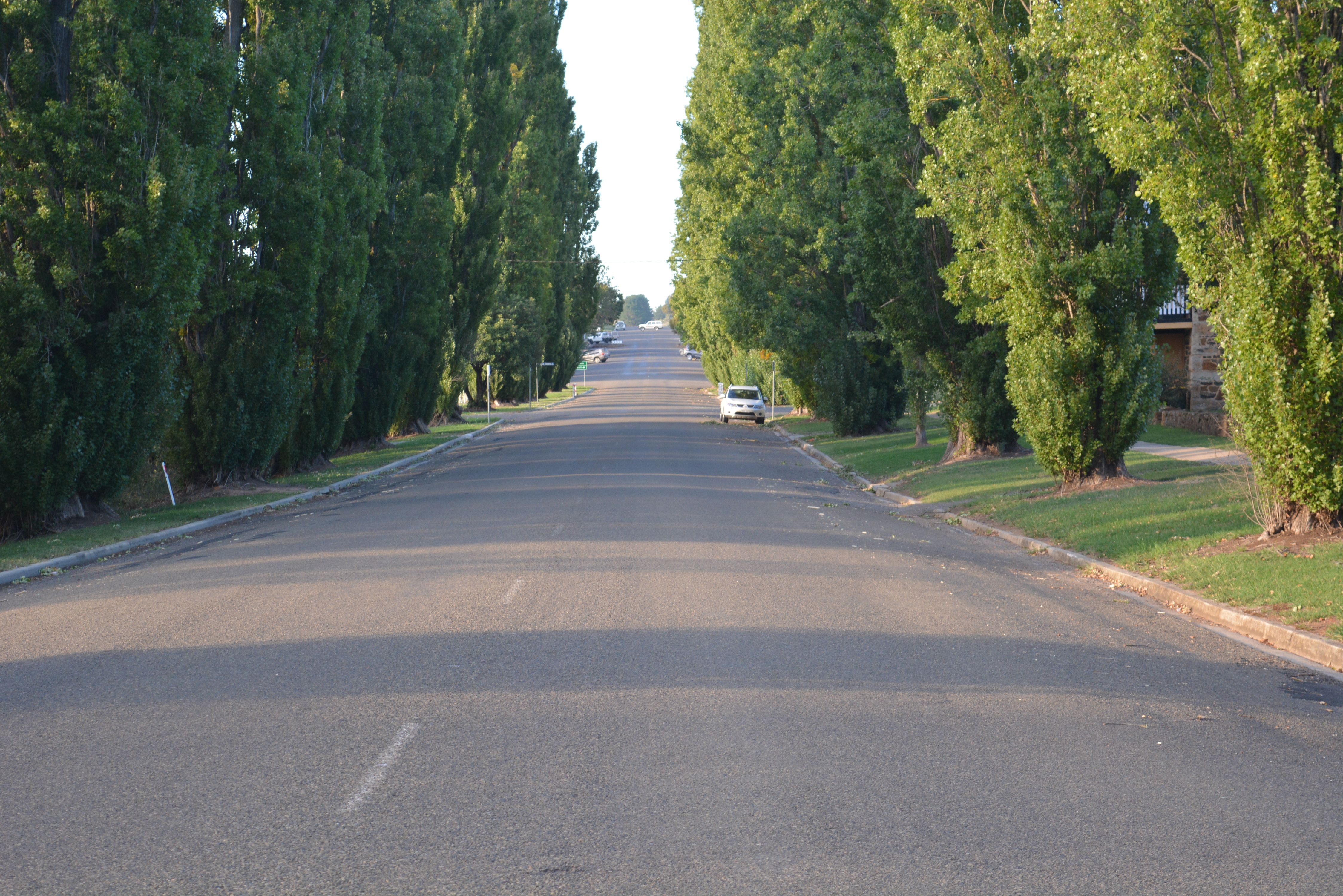 Lot 2 Orchard Street, Taralga, NSW 2580