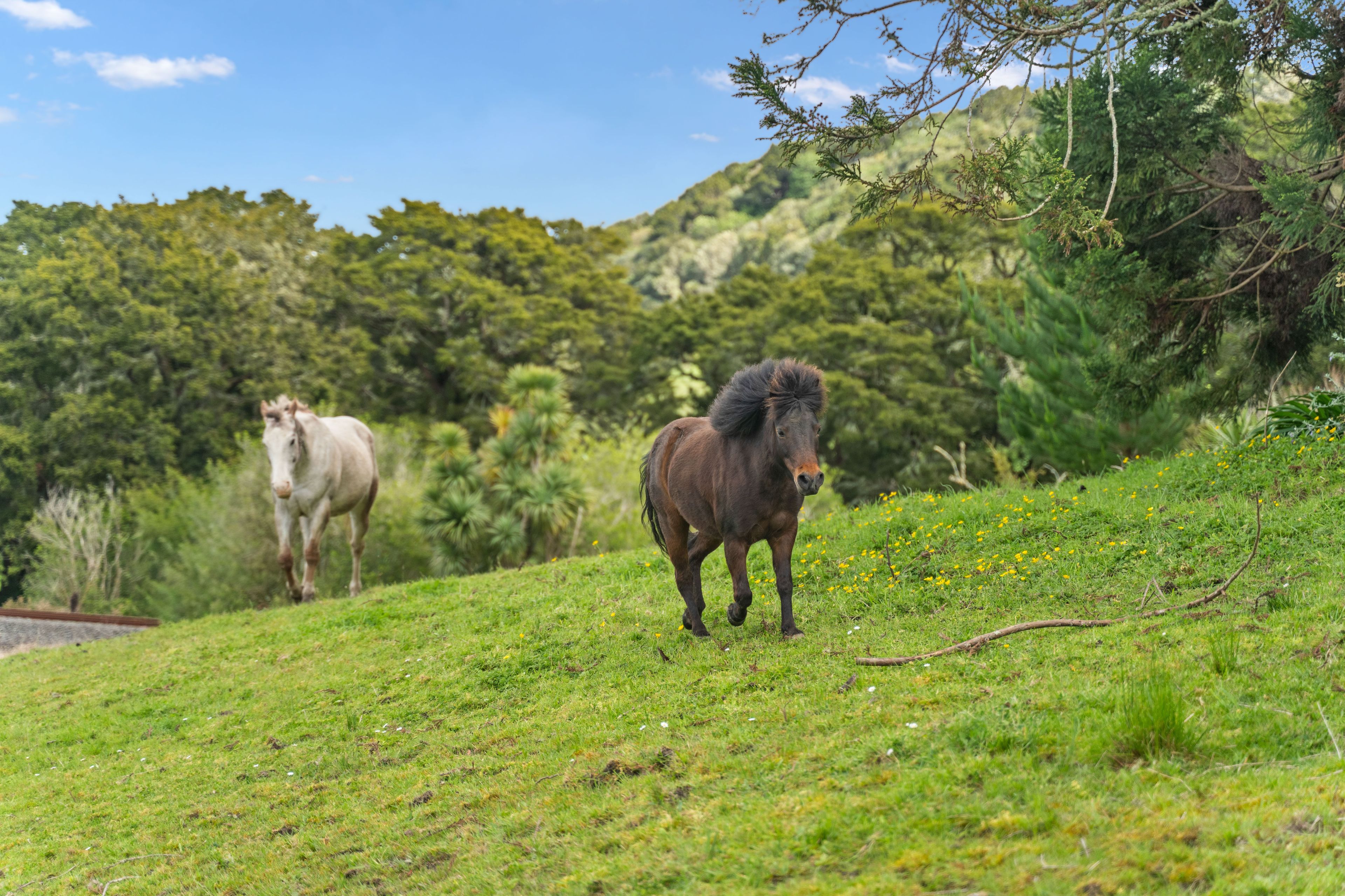558 Mangapai Road, Mangapai, Whangarei District