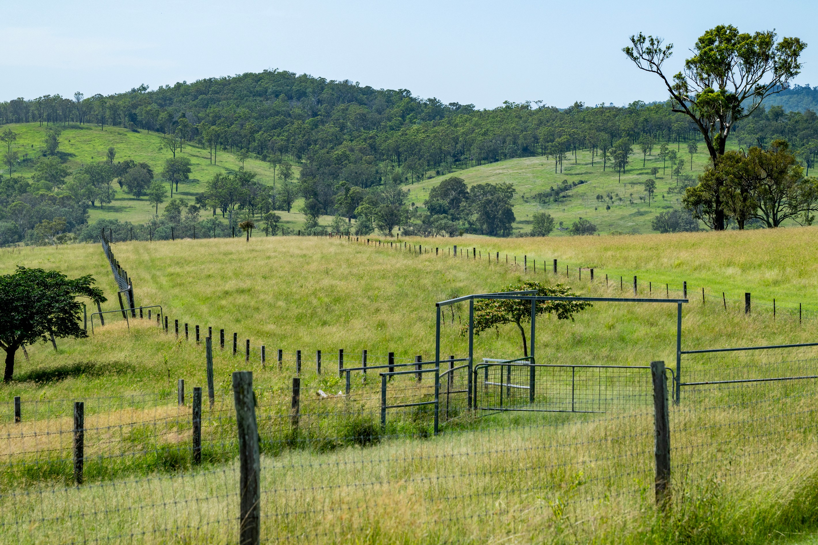 3128 Manumbar Road, Elgin Vale, QLD 4615