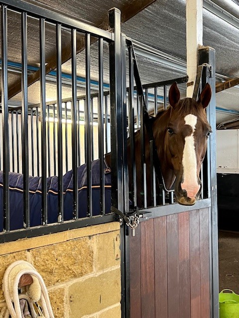 120 Hermitage Road, Kurrajong Hills, NSW 2758