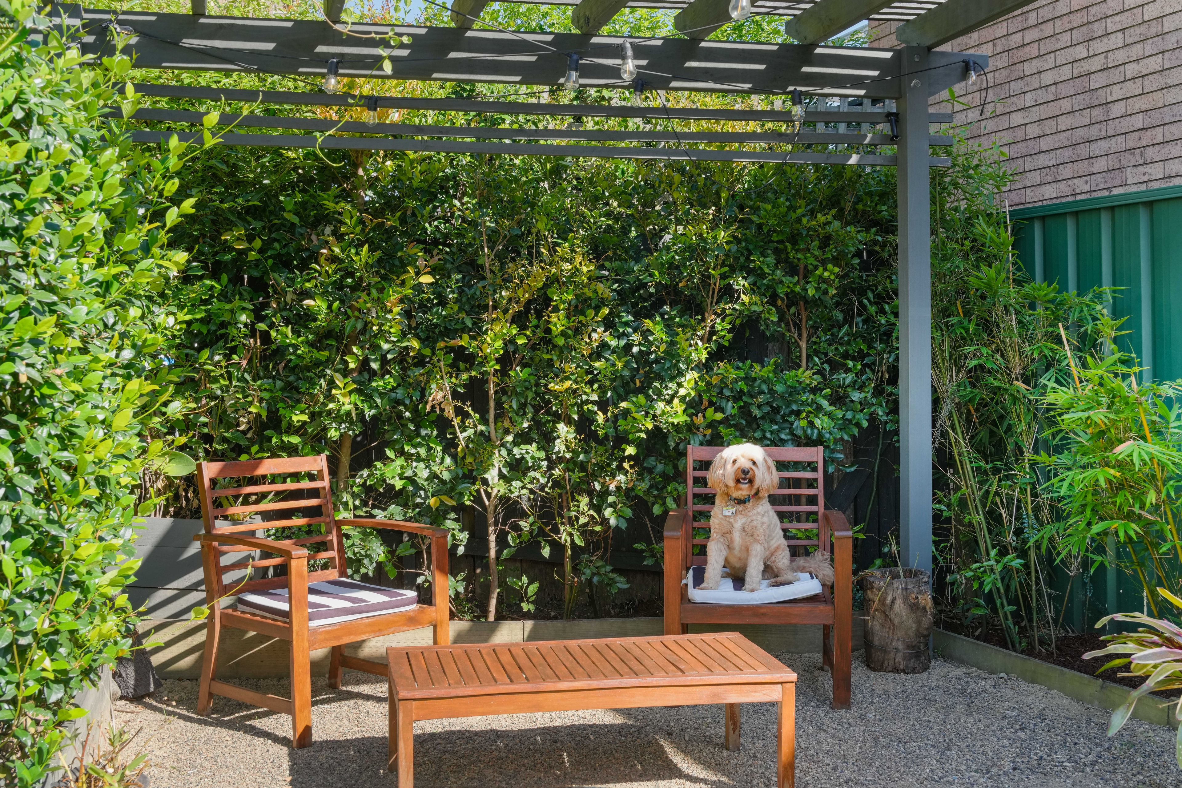 48 Church Street, Canterbury, NSW 2193