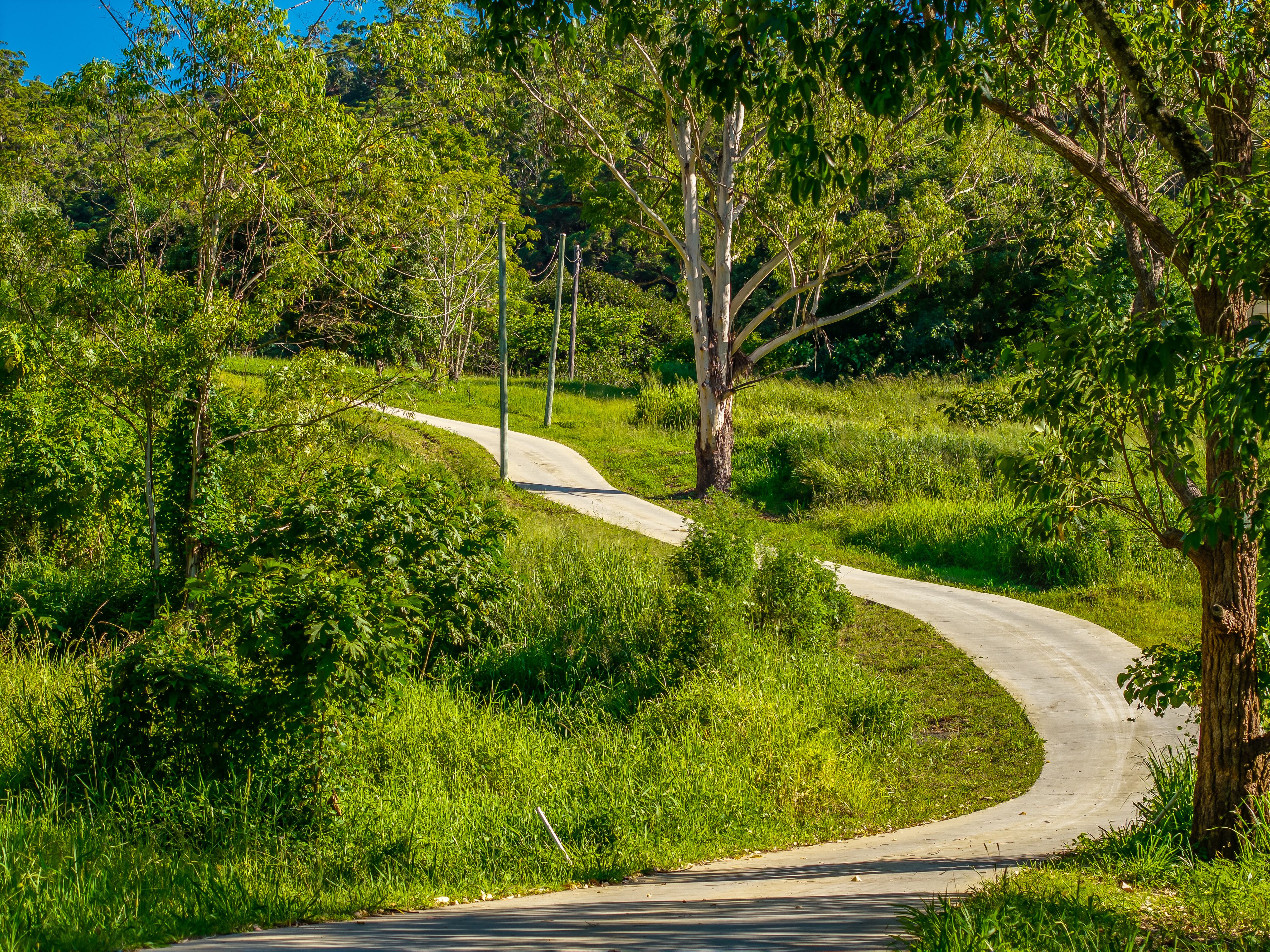 98-196 Guanaba Road — photo 5 of 26