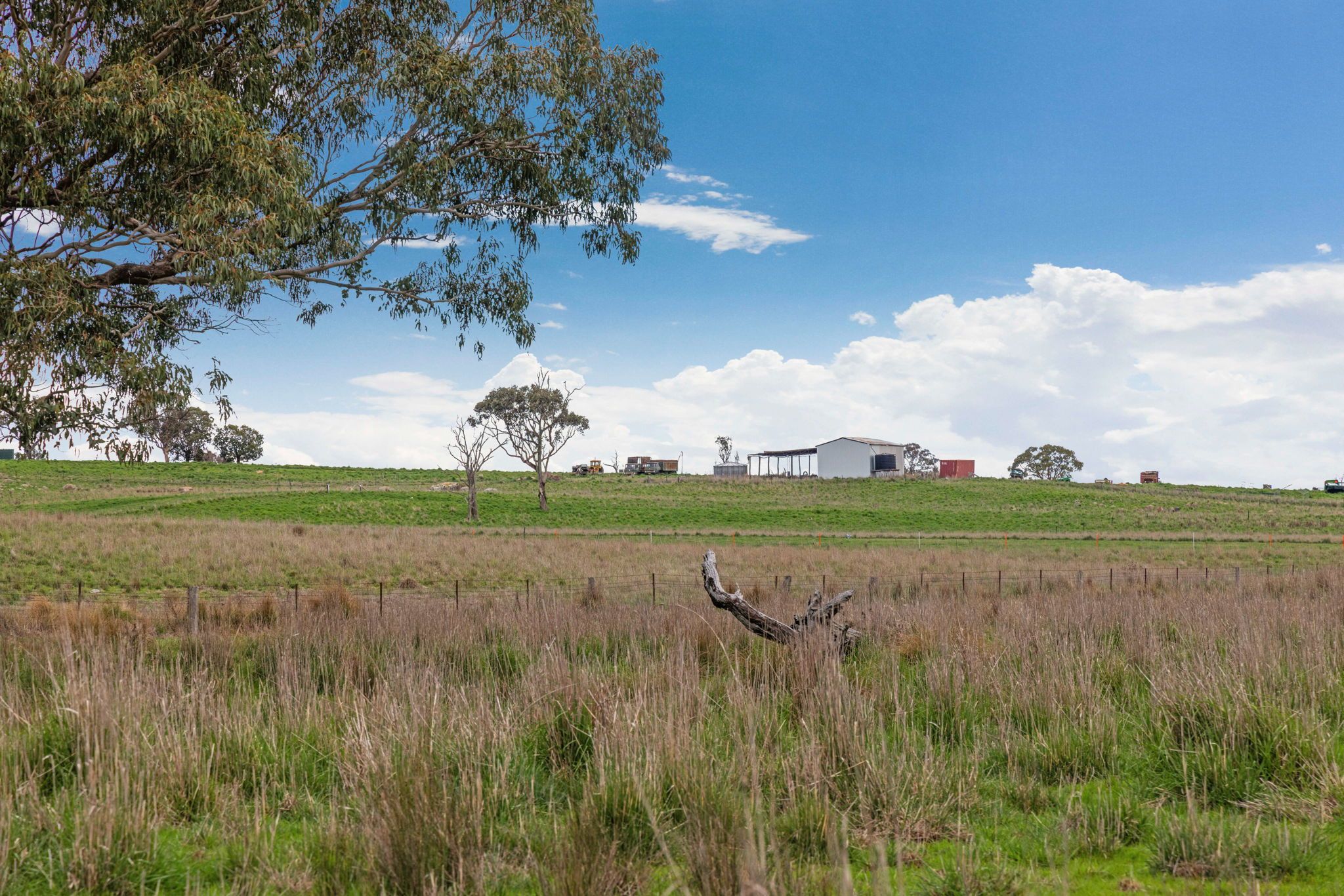 "Reynoldsdale", 1056 Lachlan Valley Way — photo 27 of 30