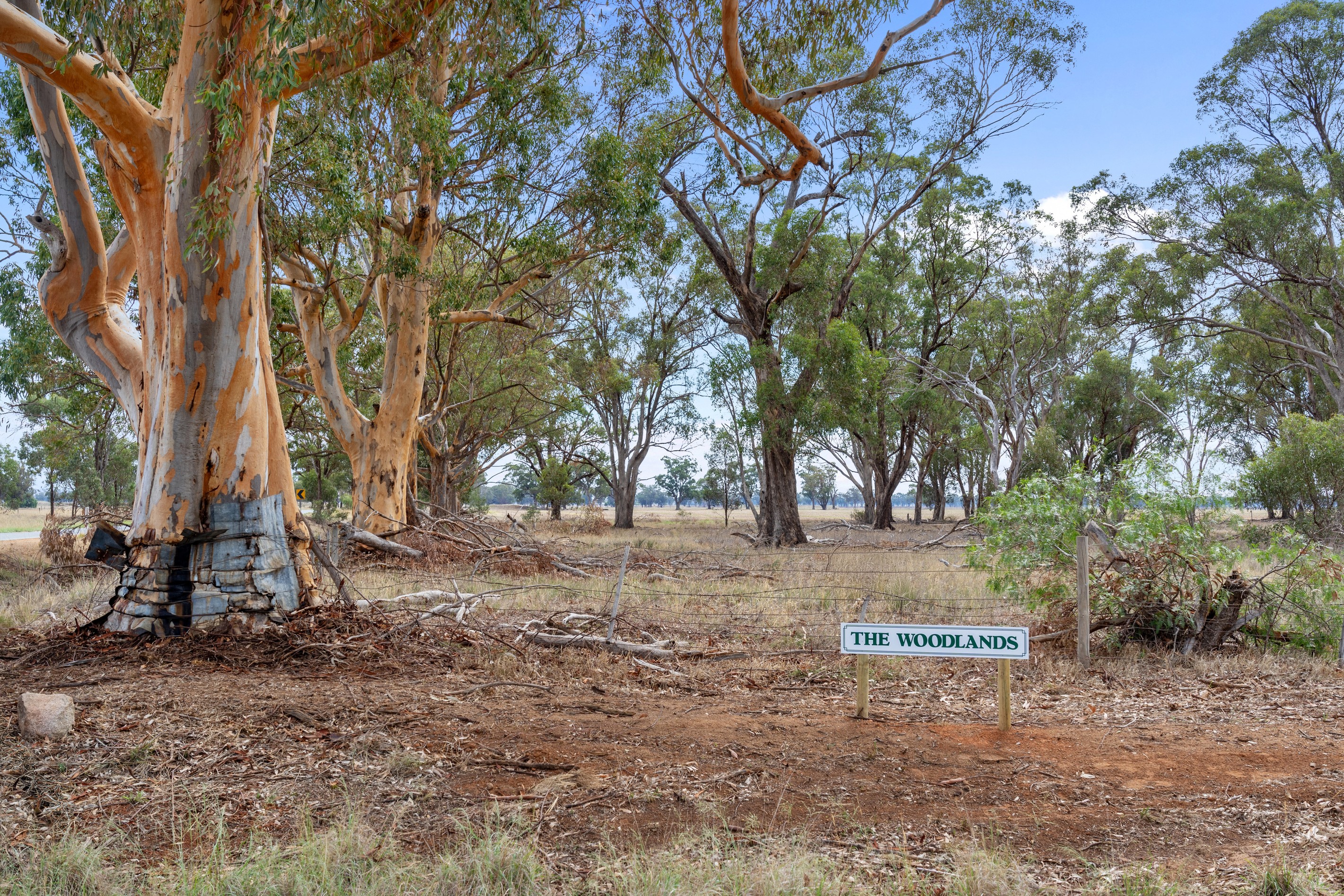 Allotment 22 Flynns Road, Pelluebla, VIC 3727