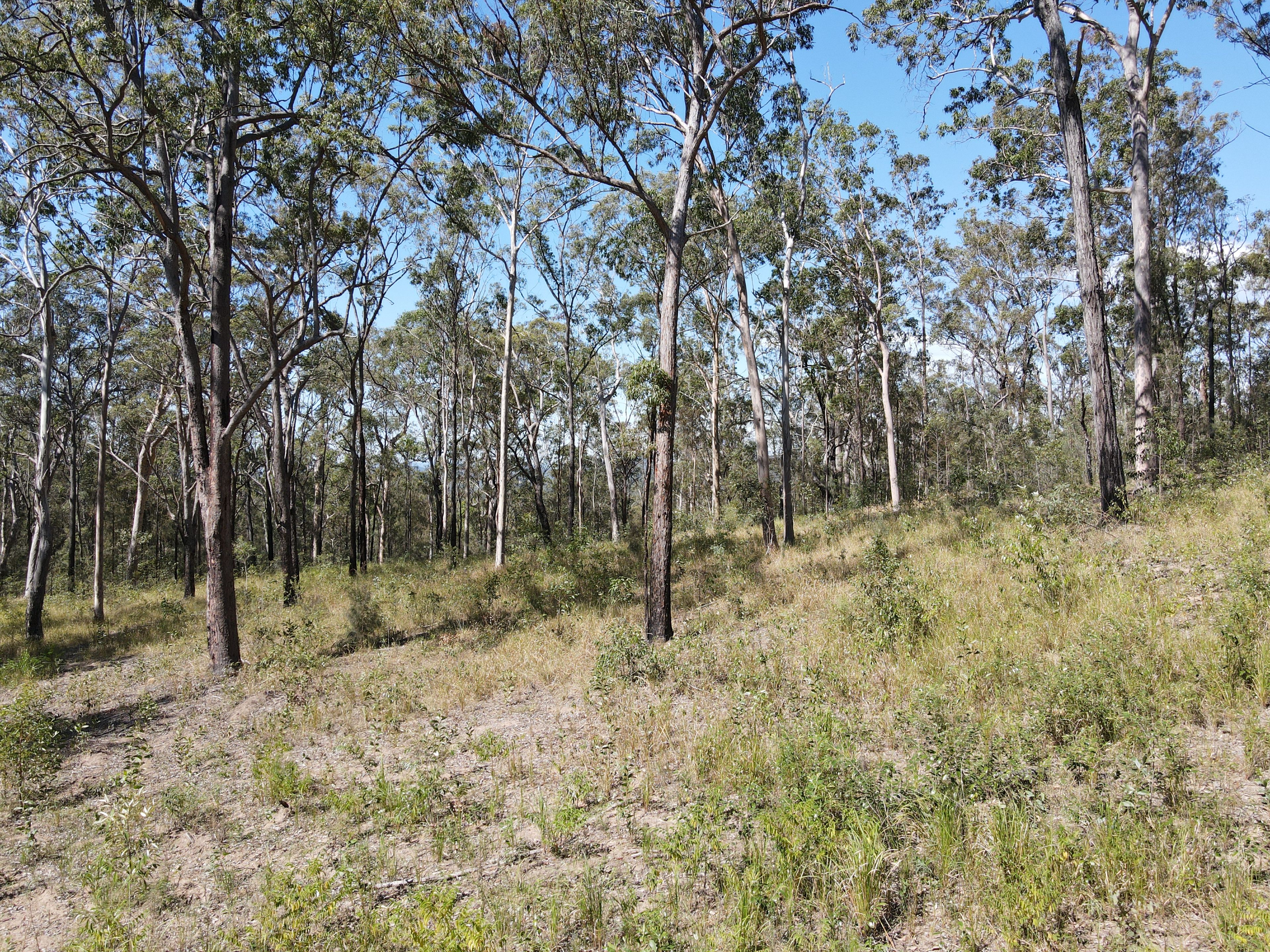 428 Bruxner Road — photo 14 of 18