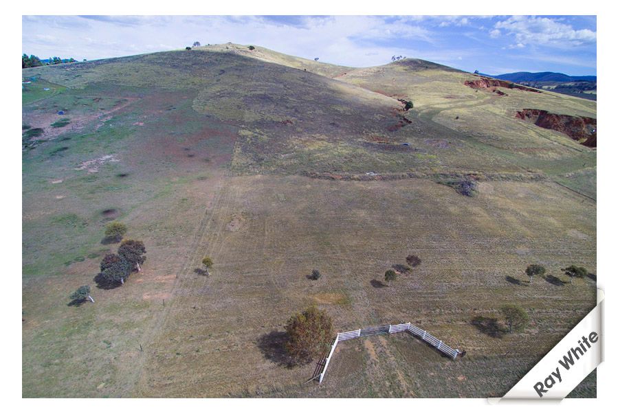306 Micalago Road, MICHELAGO NSW 2620