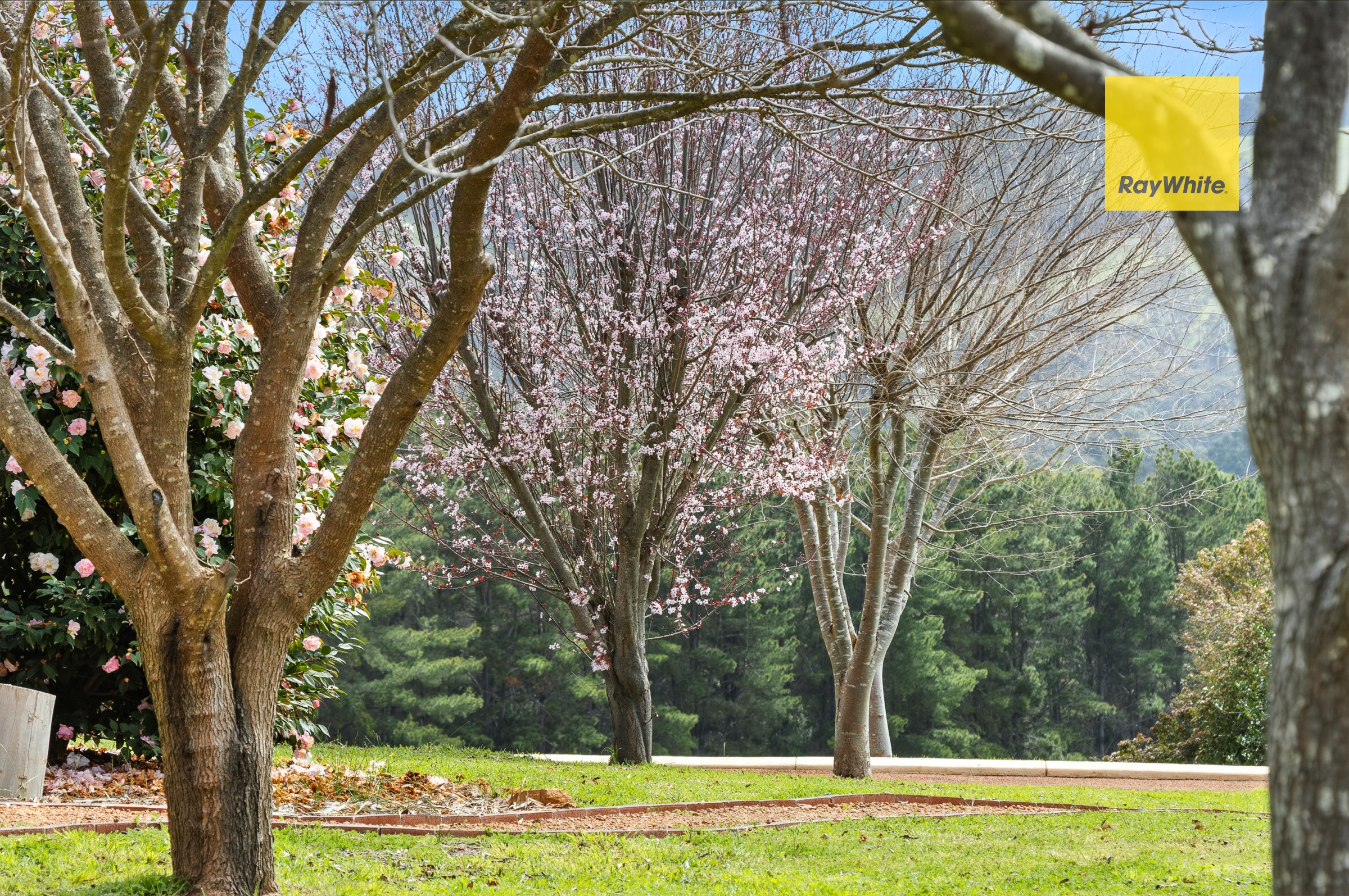 1 Jacaranda Place, Bridgetown, WA 6255