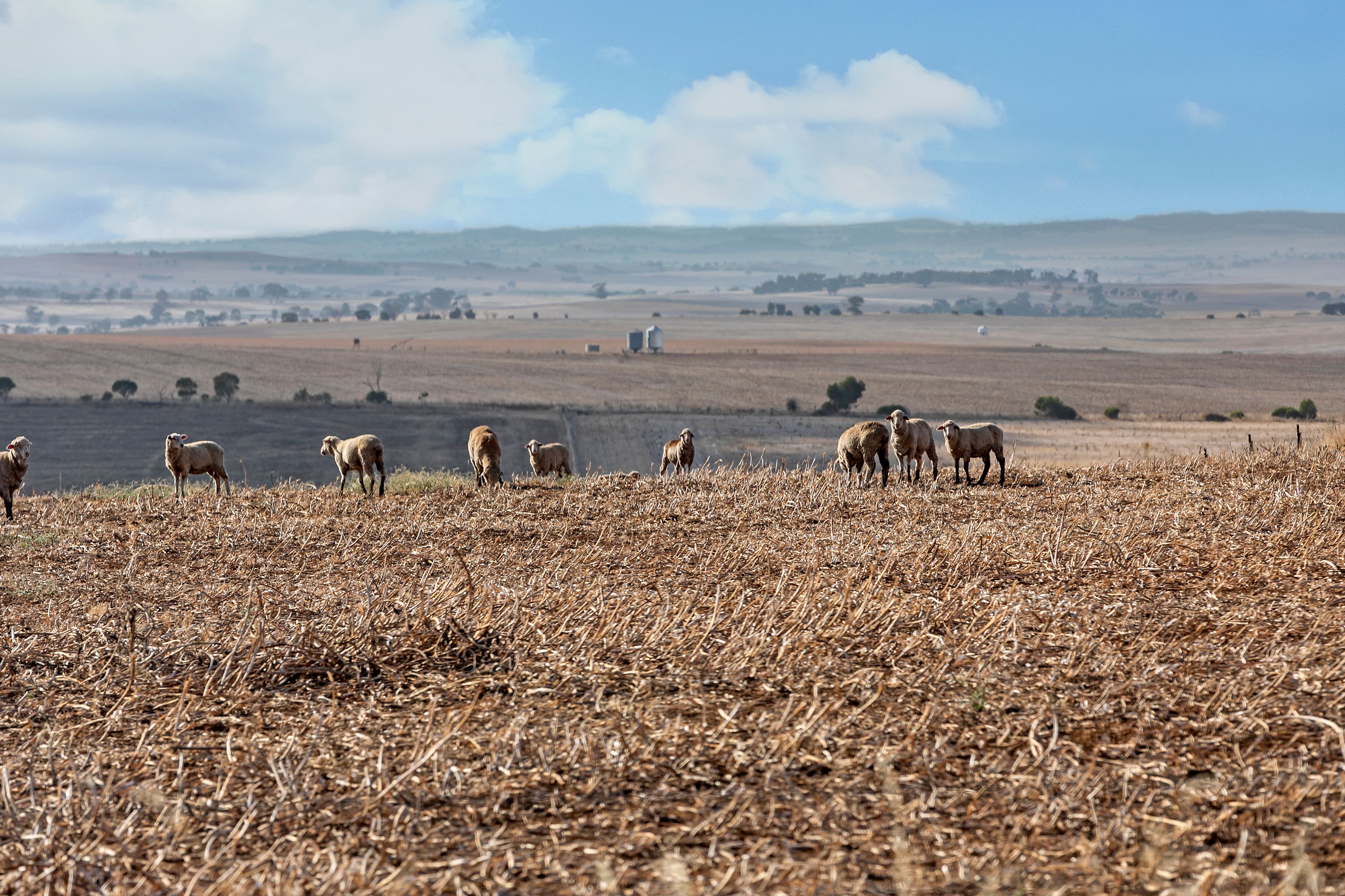 'Coulters' Sandow Road, Hamley Bridge, SA 5401 Sold Rural Mixed