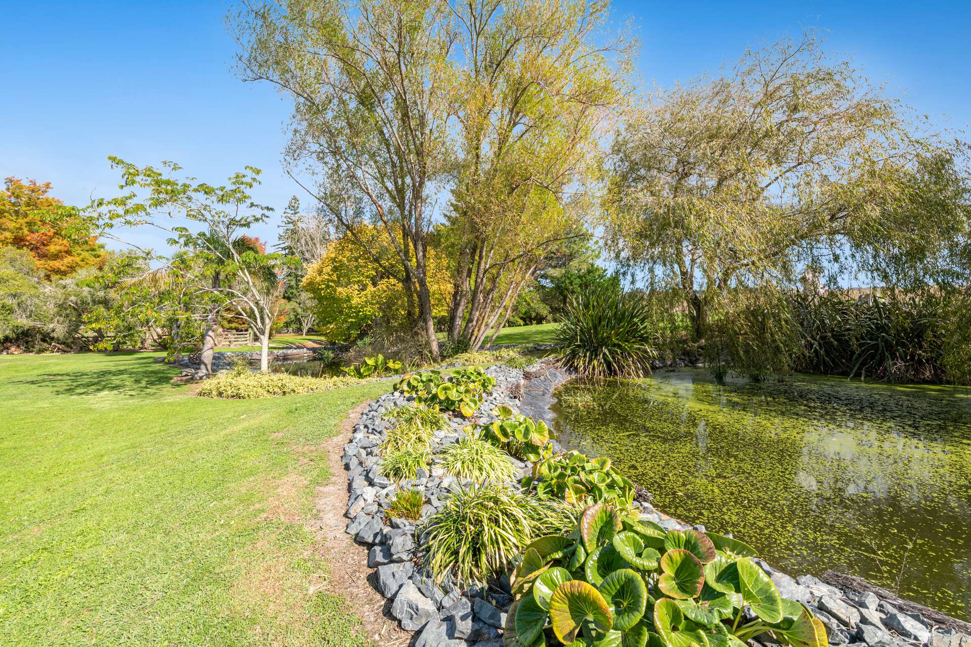 636 Kahikatea Flat Road photo 76