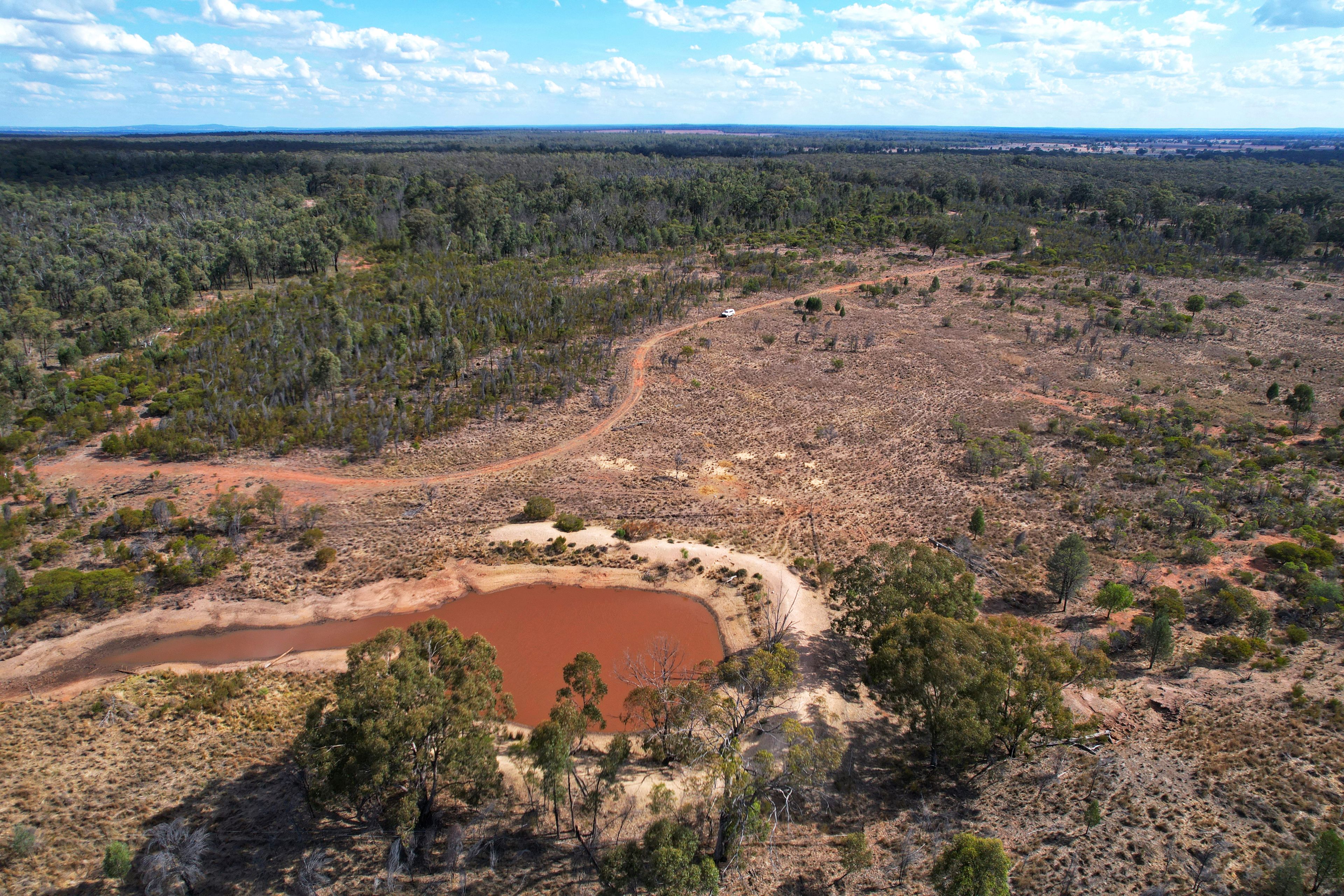 'Dalray' Pietschs Road, Tullamore, NSW 2874 Rural Property for Sale