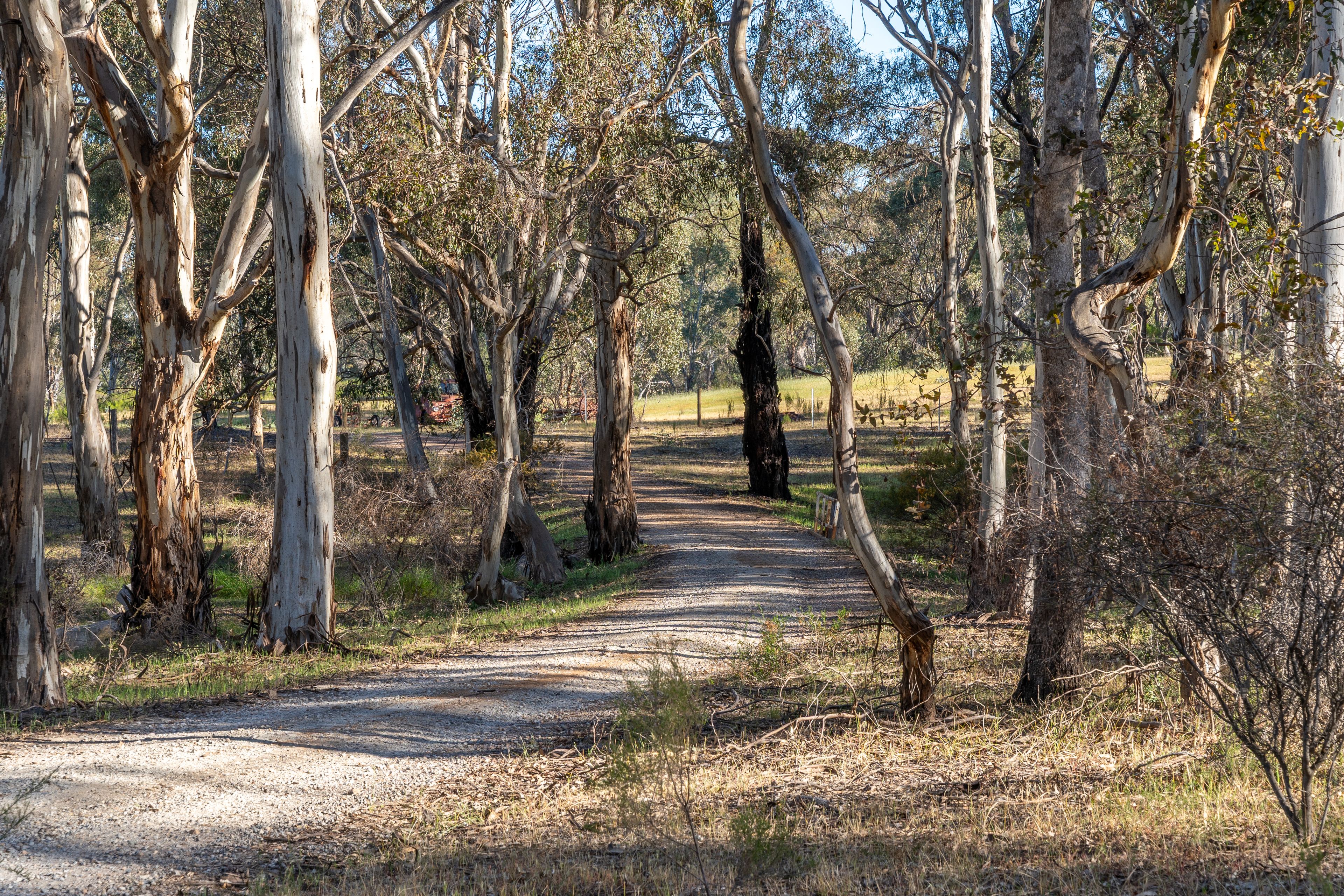 LOT 2/121 WATTLEVALE Road — photo 10 of 24