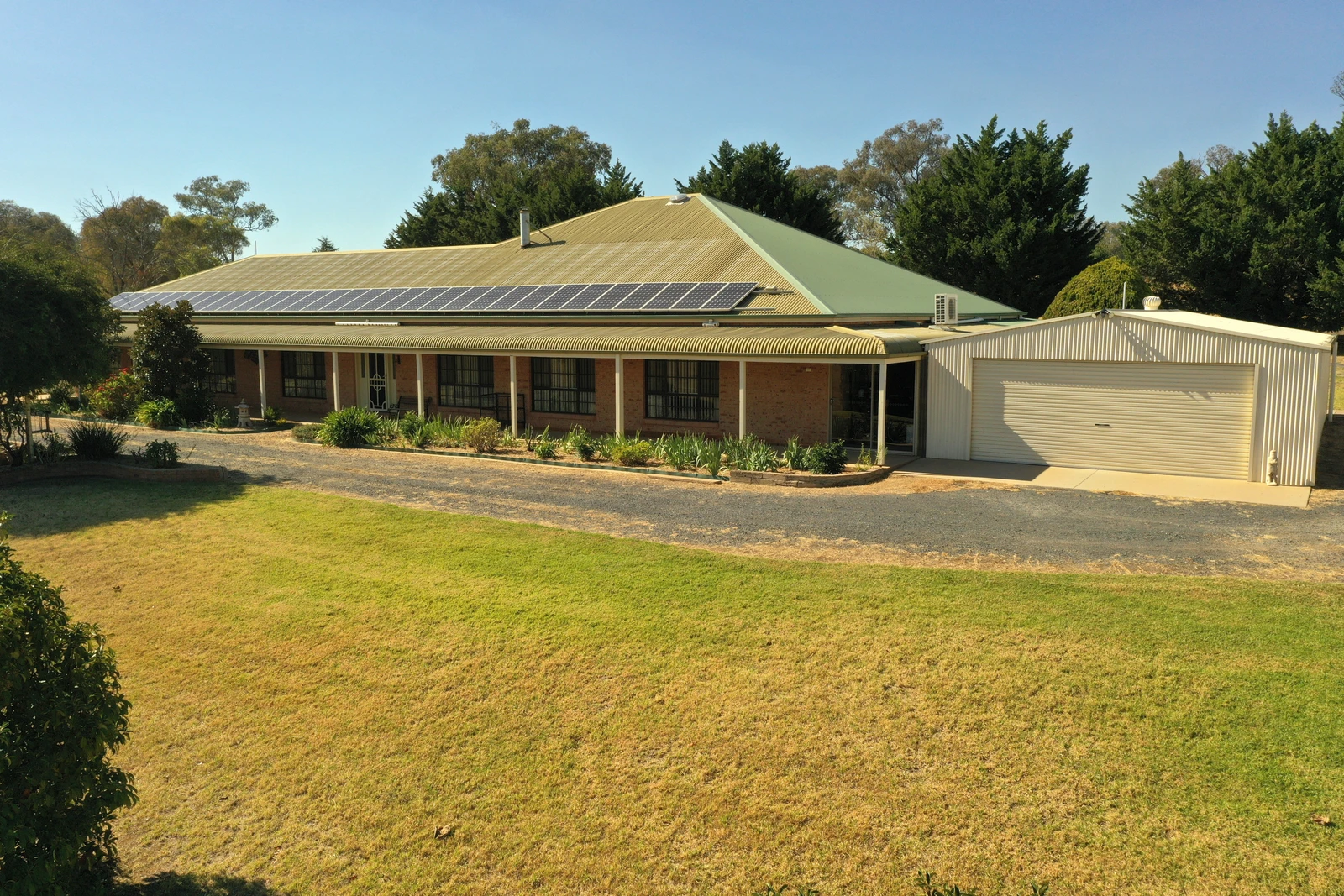 426 Back Creek Road, Young, NSW 2594