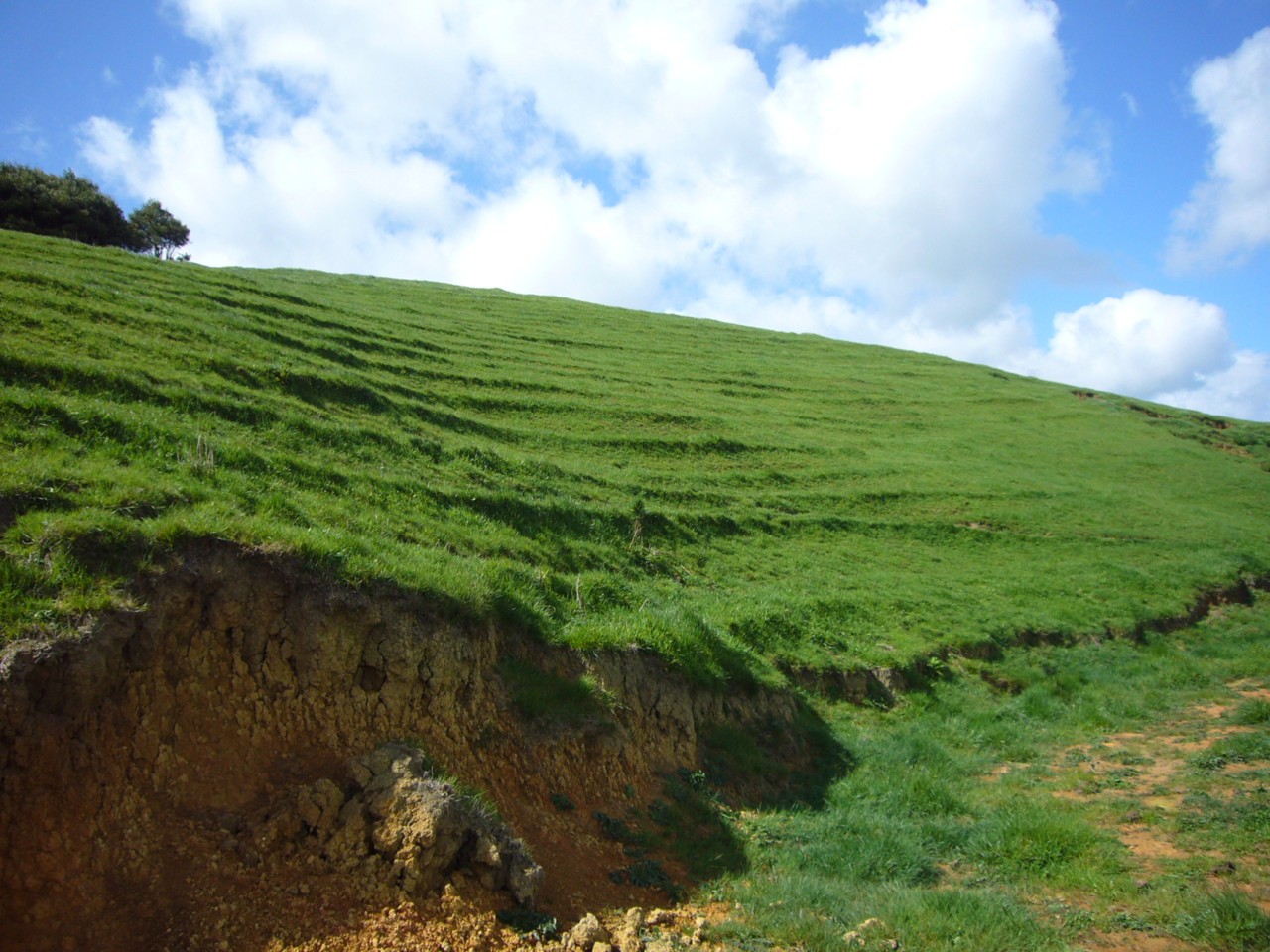 413b Waingaro Road, R D 1, Ngaruawahia, Waikato District